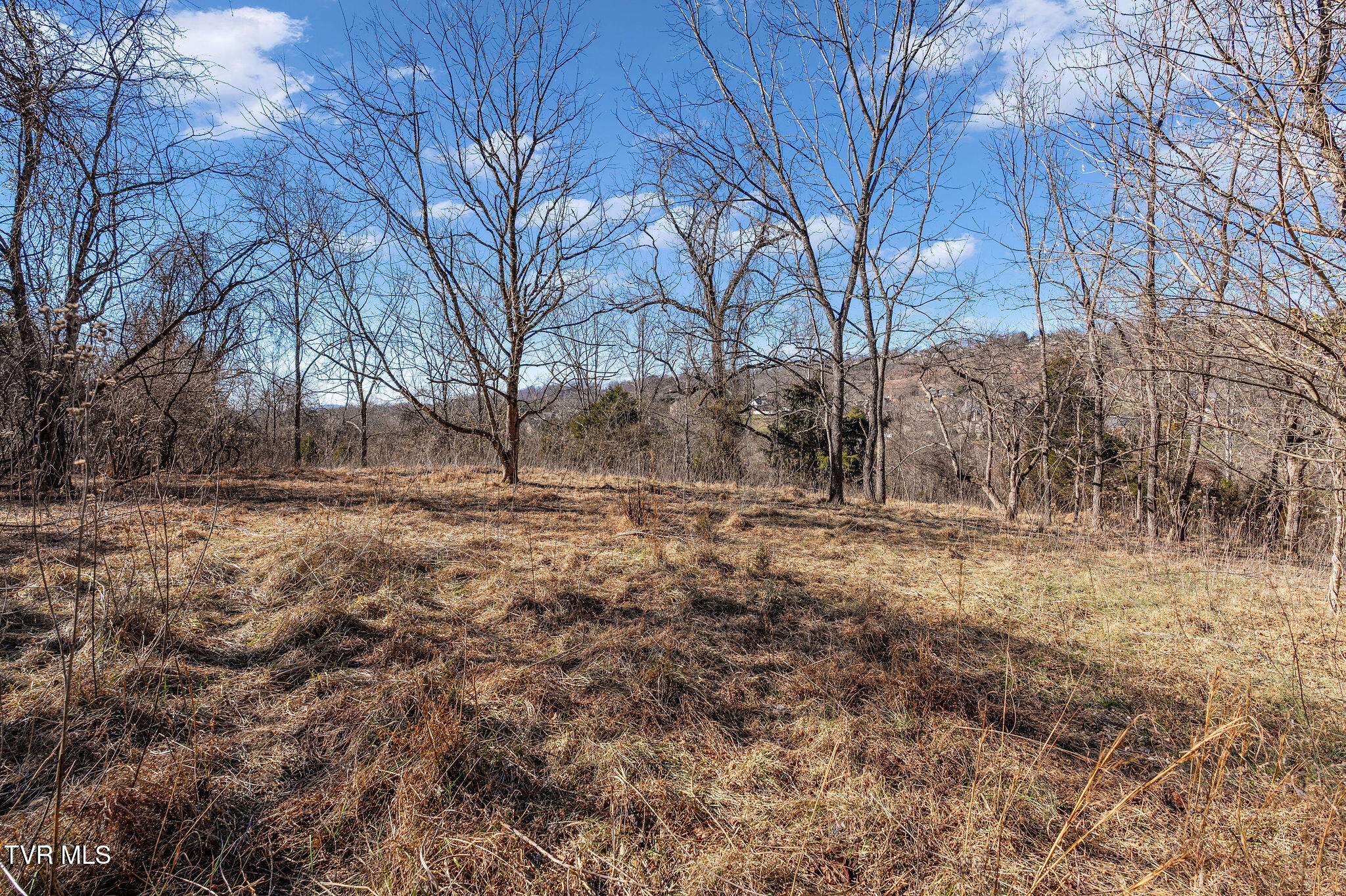 Tbd Cooks Landing Road Kingsport, TN 37664 - Photo 11 of 31 Build-site