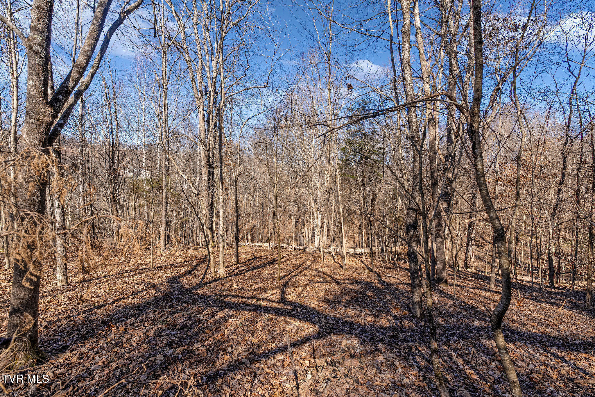 Tbd Cooks Landing Road Kingsport, TN 37664 - Photo 12 of 31 Build-site