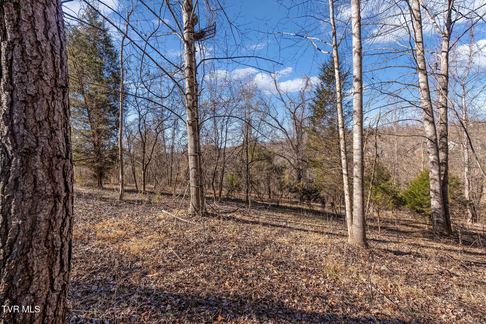 Tbd Cooks Landing Road Kingsport, TN 37664 - Photo 13 of 31 Deer Stand