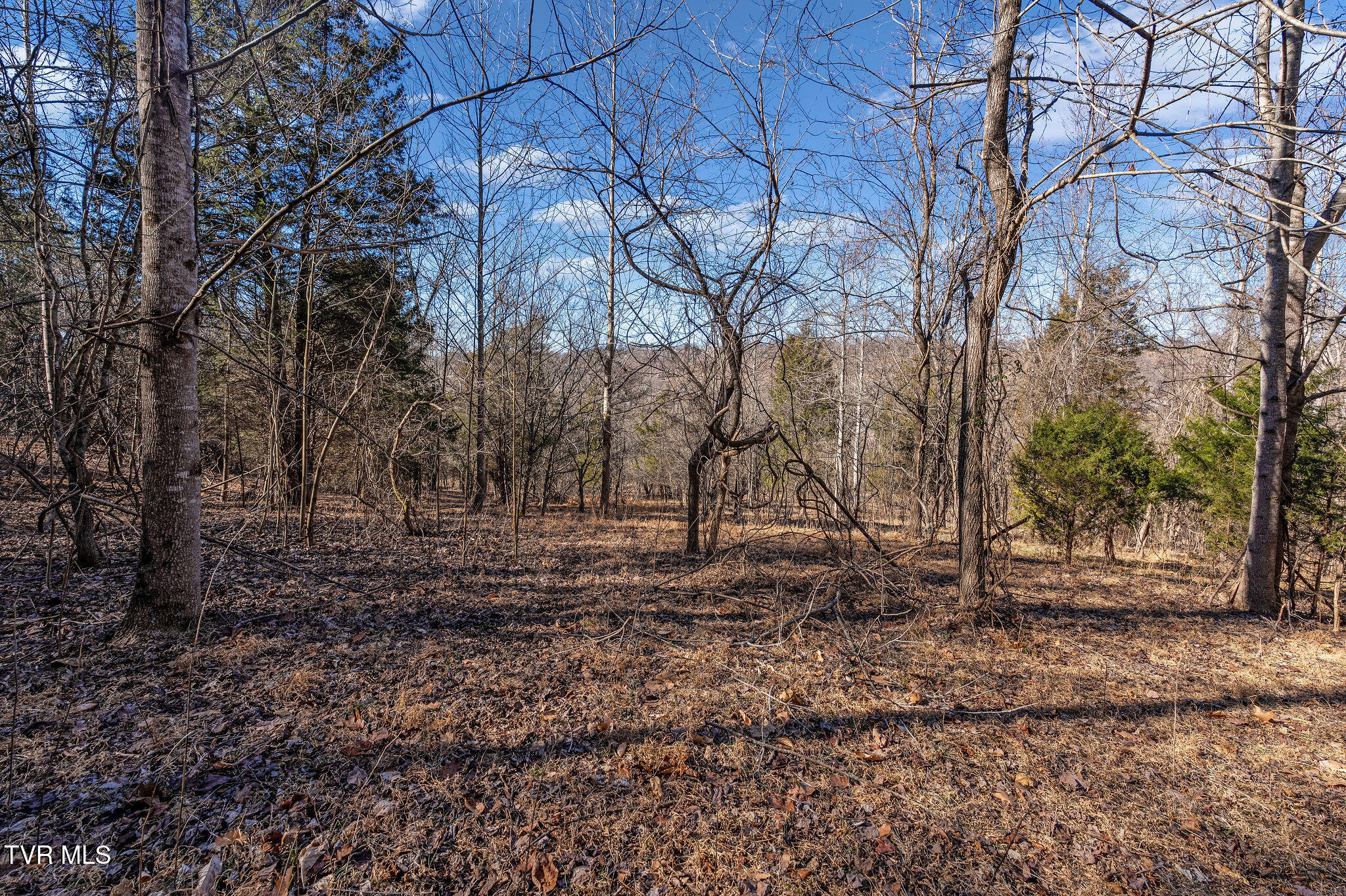 Tbd Cooks Landing Road Kingsport, TN 37664 - Photo 14 of 31 Build-site