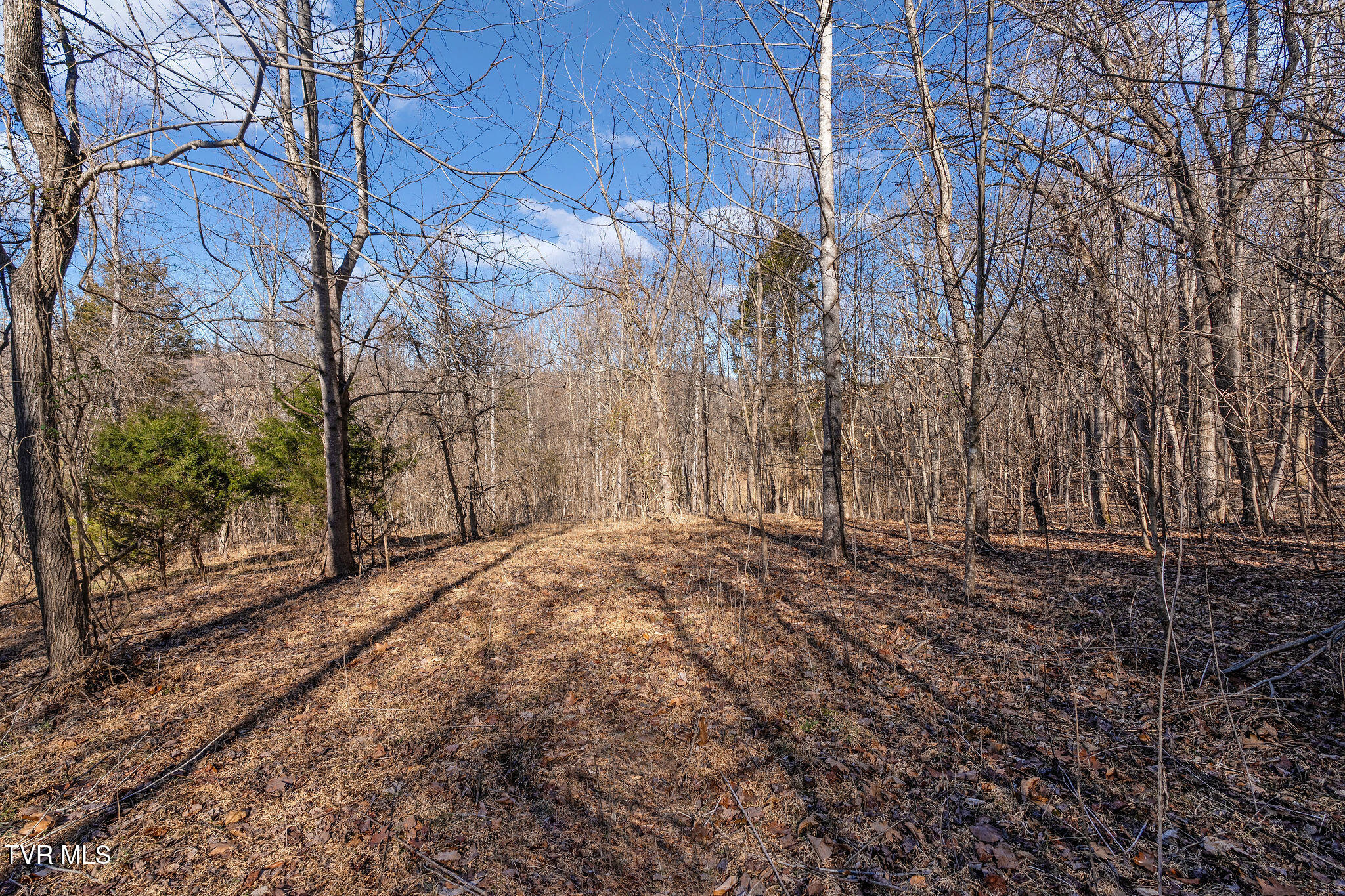 Tbd Cooks Landing Road Kingsport, TN 37664 - Photo 15 of 31 Build-site