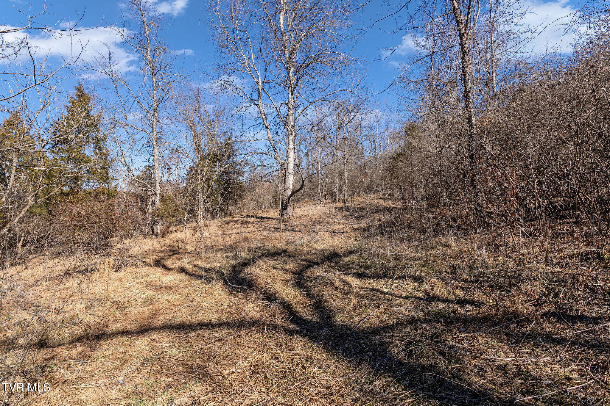 Tbd Cooks Landing Road Kingsport, TN 37664 - Photo 16 of 31 Build-site