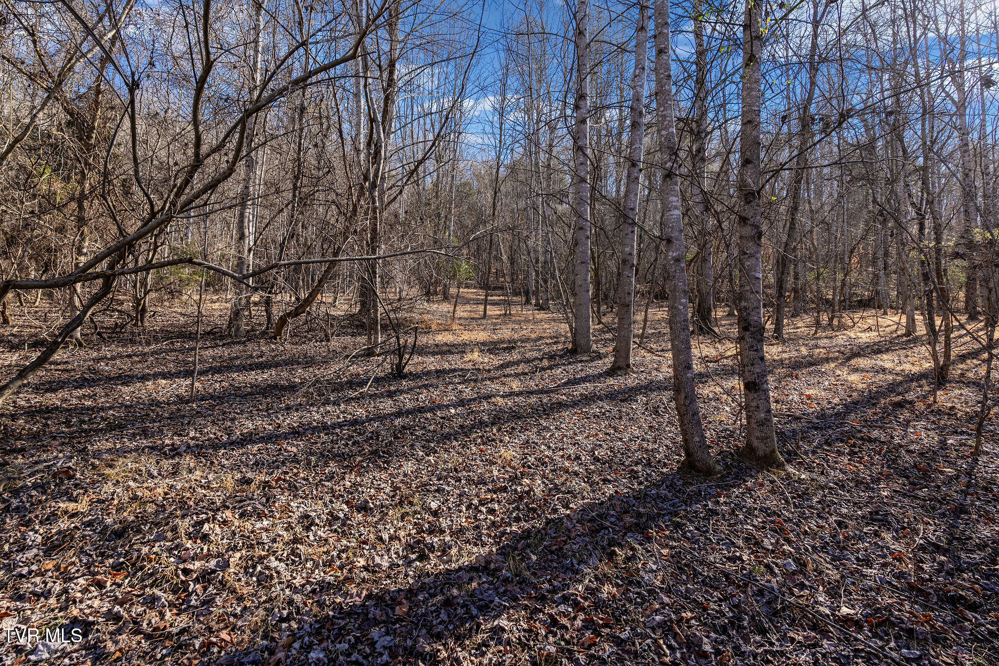 Tbd Cooks Landing Road Kingsport, TN 37664 - Photo 17 of 31 Build-site