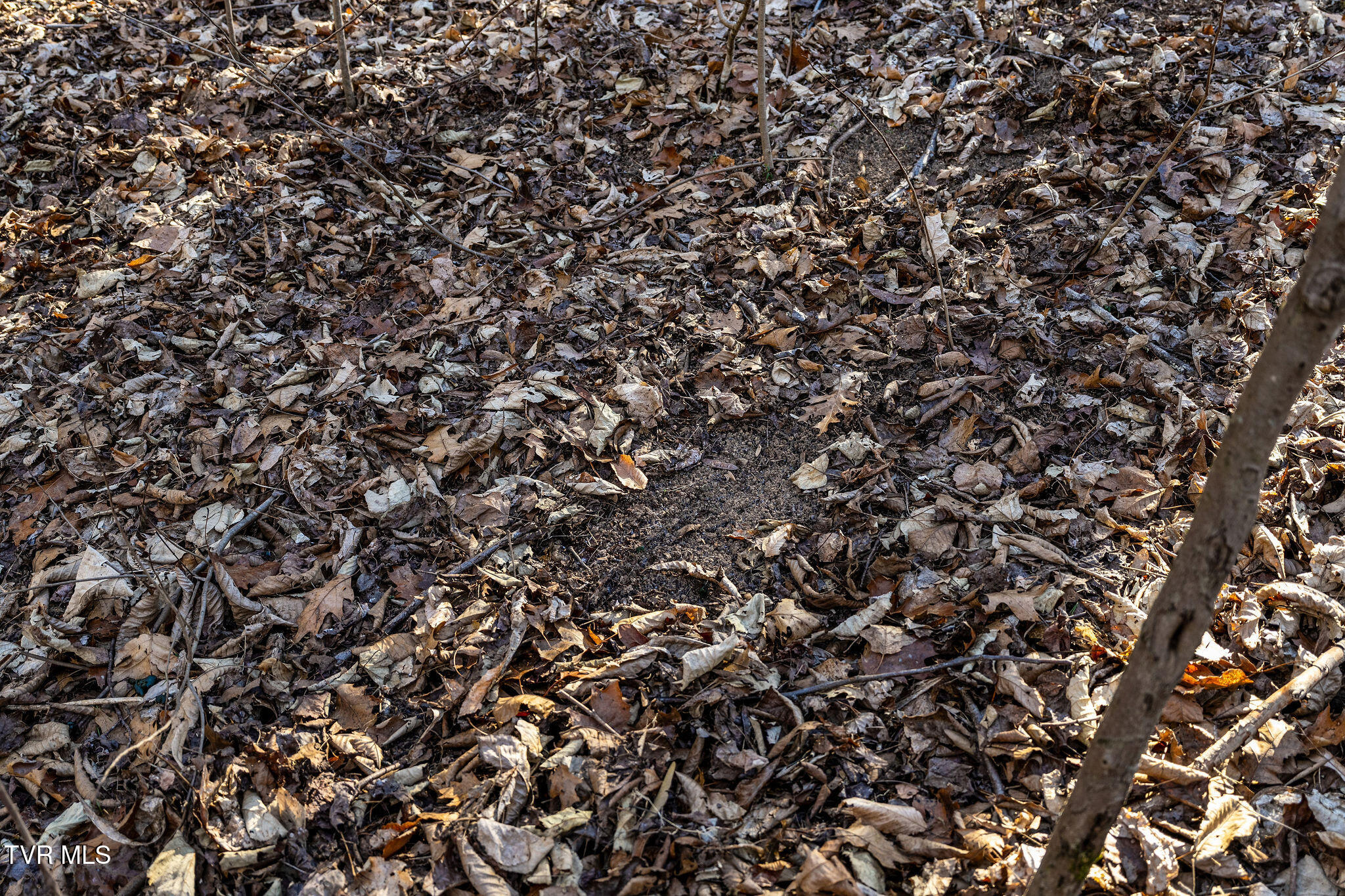 Tbd Cooks Landing Road Kingsport, TN 37664 - Photo 20 of 31 Turkey