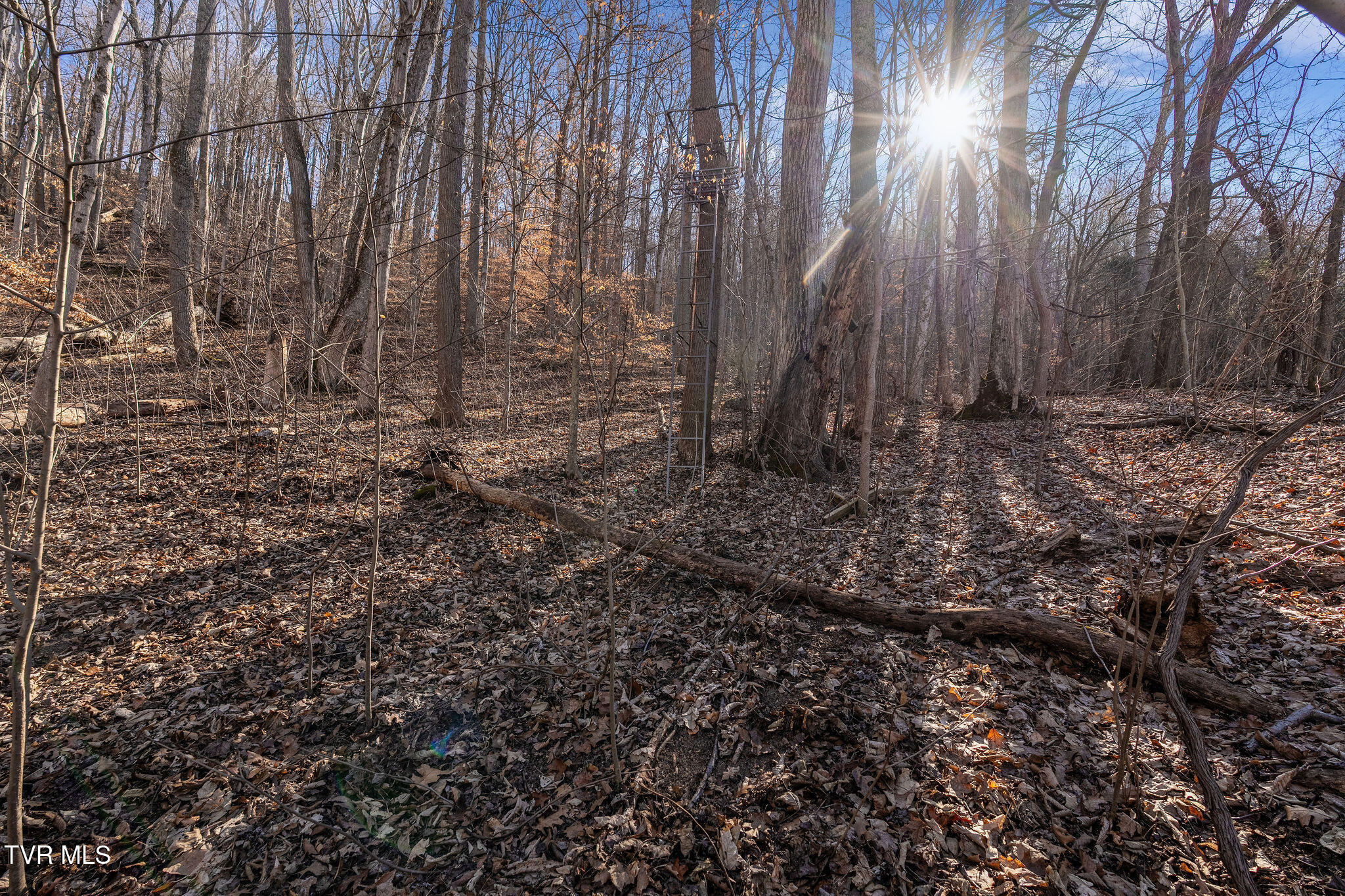 Tbd Cooks Landing Road Kingsport, TN 37664 - Photo 21 of 31 DSC08562