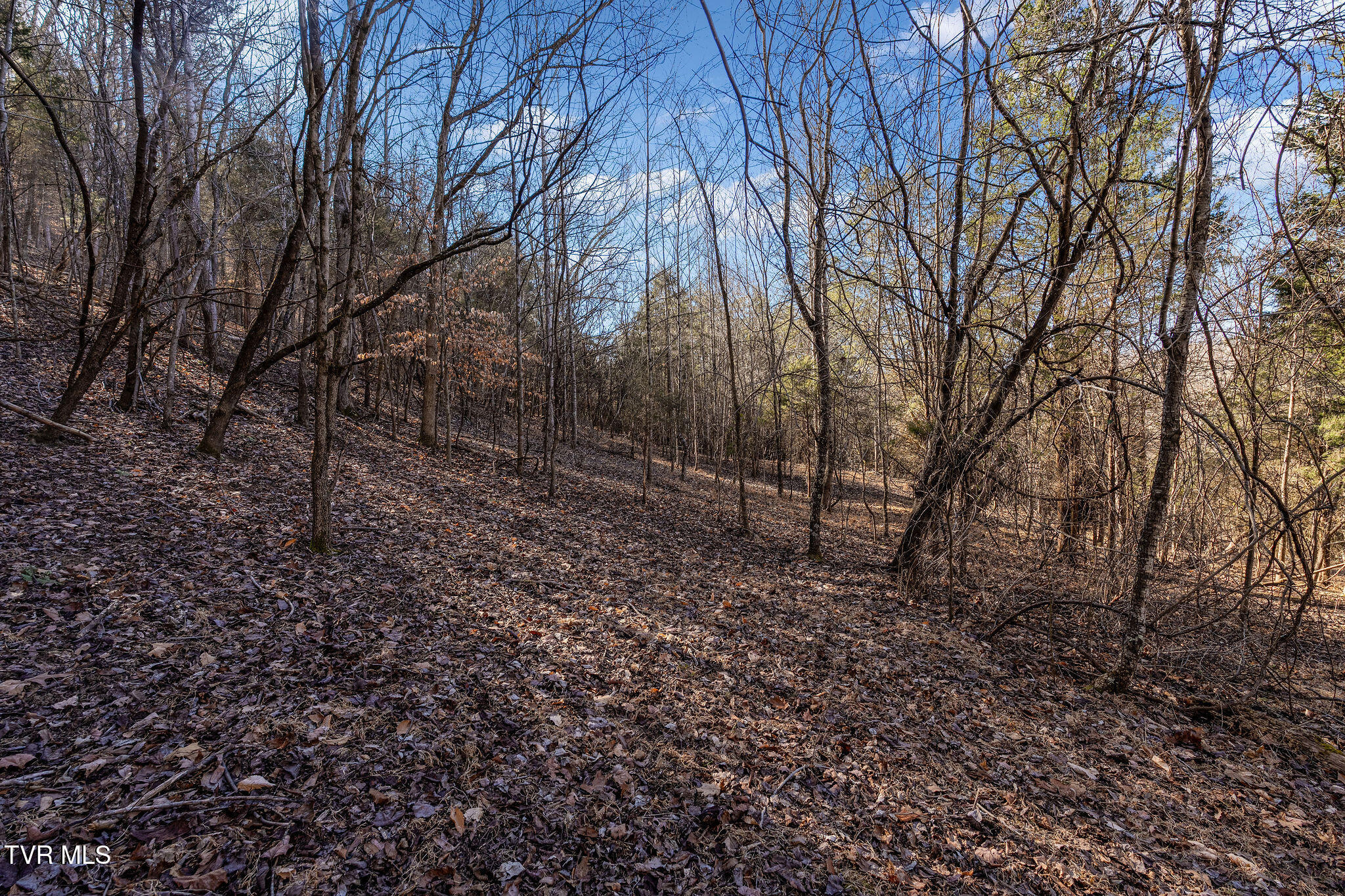 Tbd Cooks Landing Road Kingsport, TN 37664 - Photo 22 of 31 DSC08565