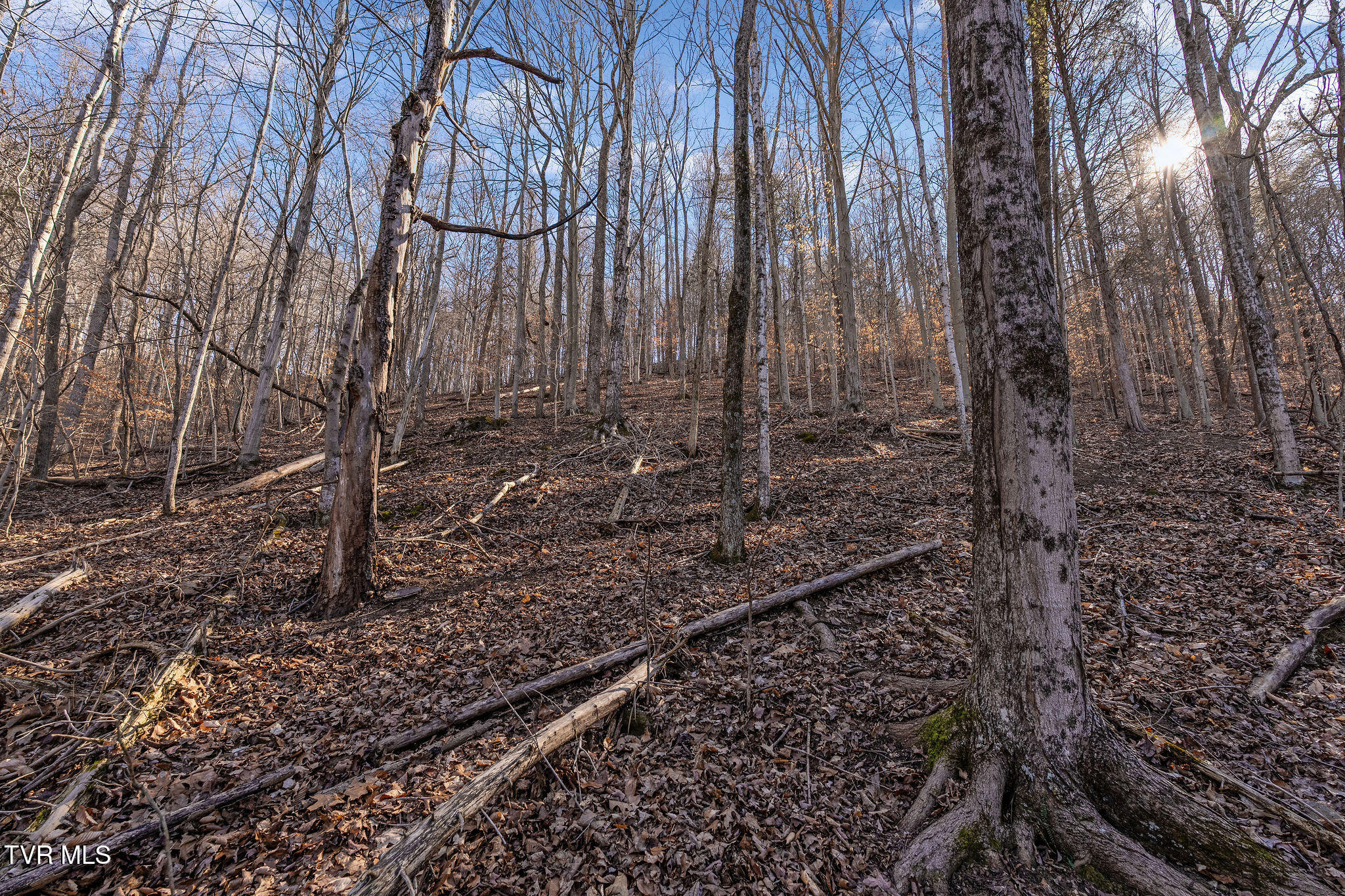 Tbd Cooks Landing Road Kingsport, TN 37664 - Photo 24 of 31 DSC08569