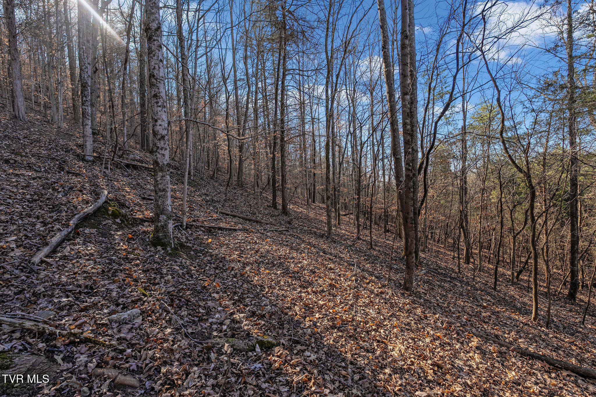 Tbd Cooks Landing Road Kingsport, TN 37664 - Photo 25 of 31 DSC08570