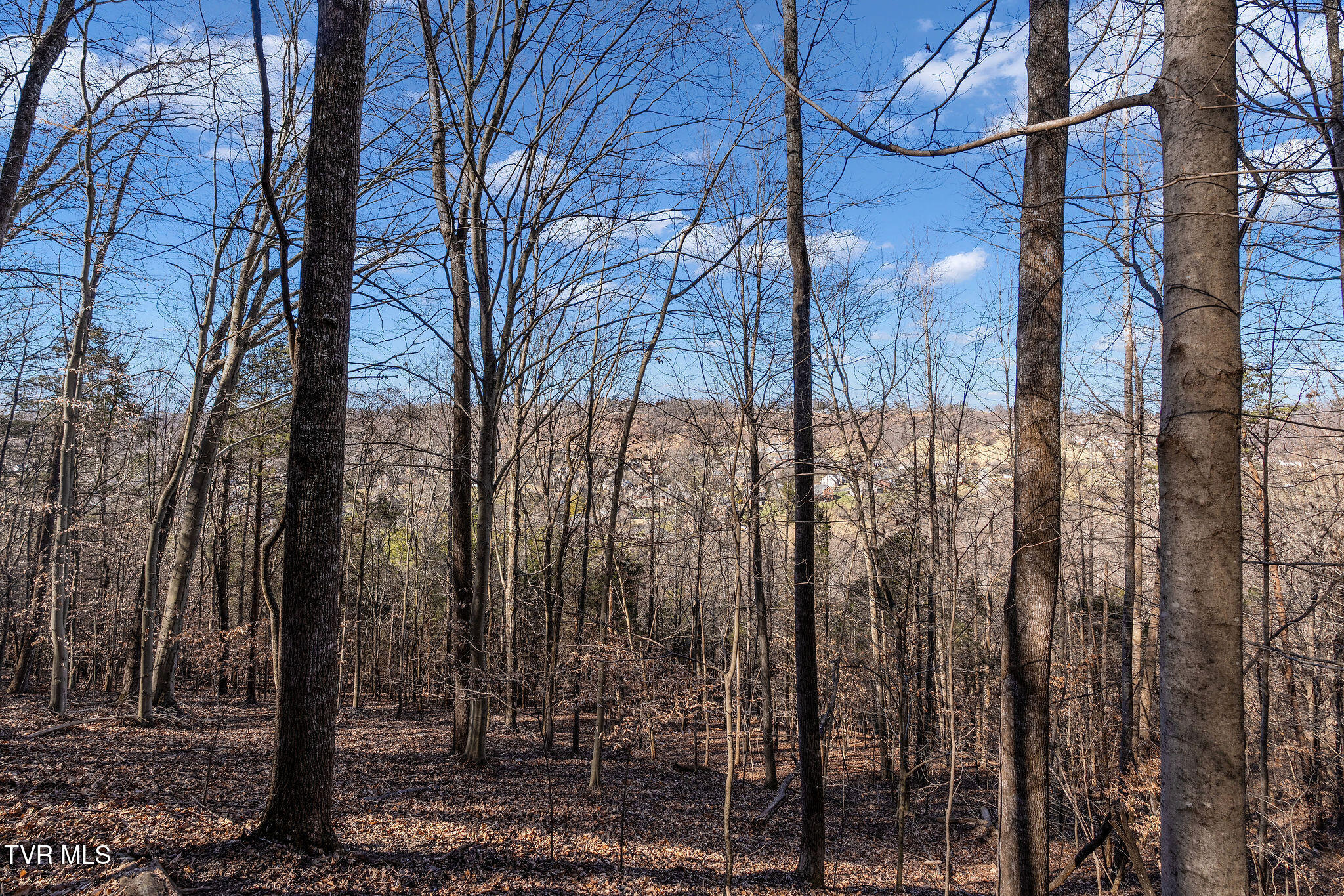 Tbd Cooks Landing Road Kingsport, TN 37664 - Photo 26 of 31 DSC08571
