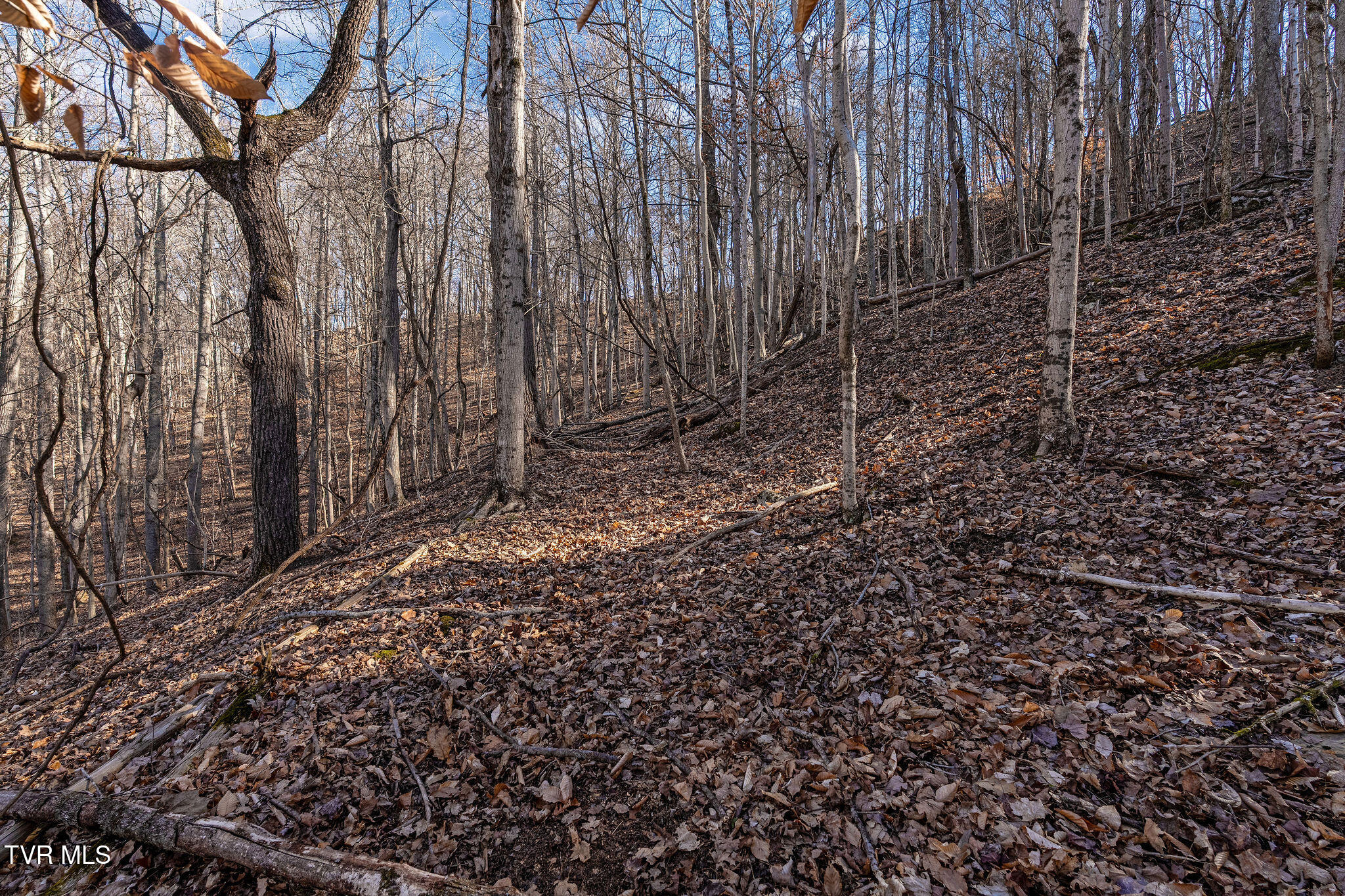 Tbd Cooks Landing Road Kingsport, TN 37664 - Photo 27 of 31 DSC08572
