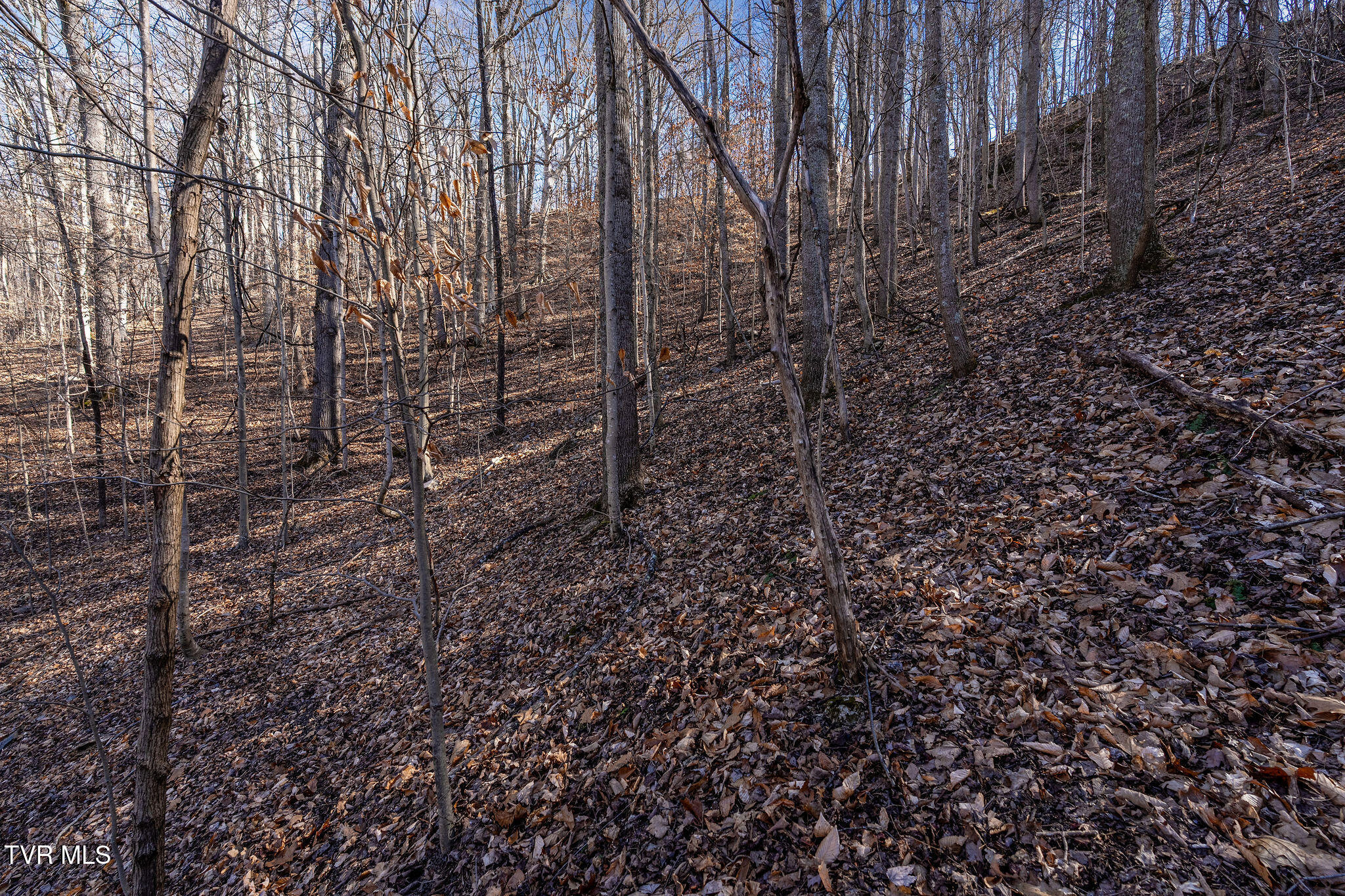 Tbd Cooks Landing Road Kingsport, TN 37664 - Photo 29 of 31 DSC08574