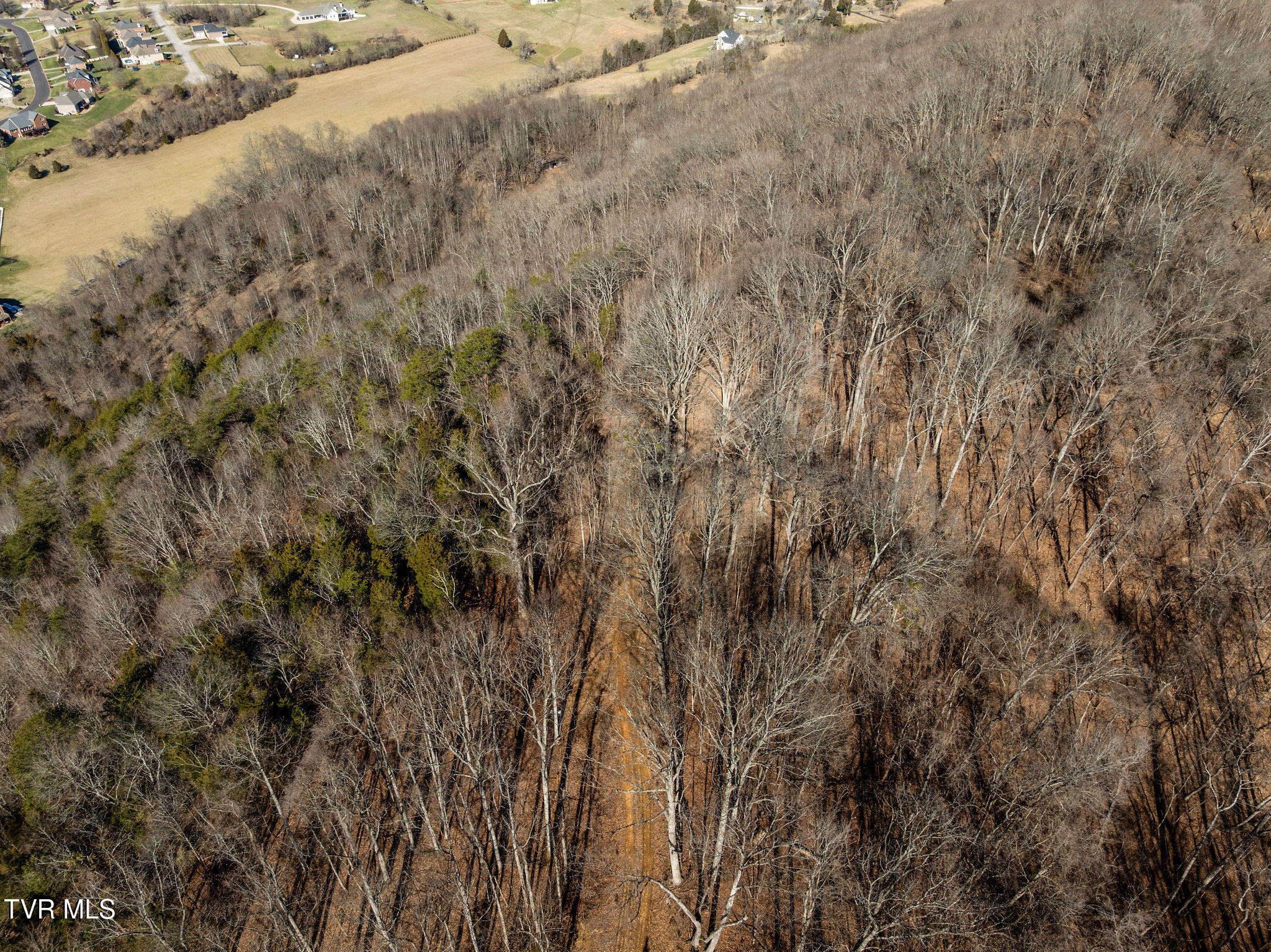 Tbd Cooks Landing Road Kingsport, TN 37664 - Photo 9 of 31 DJI_0163