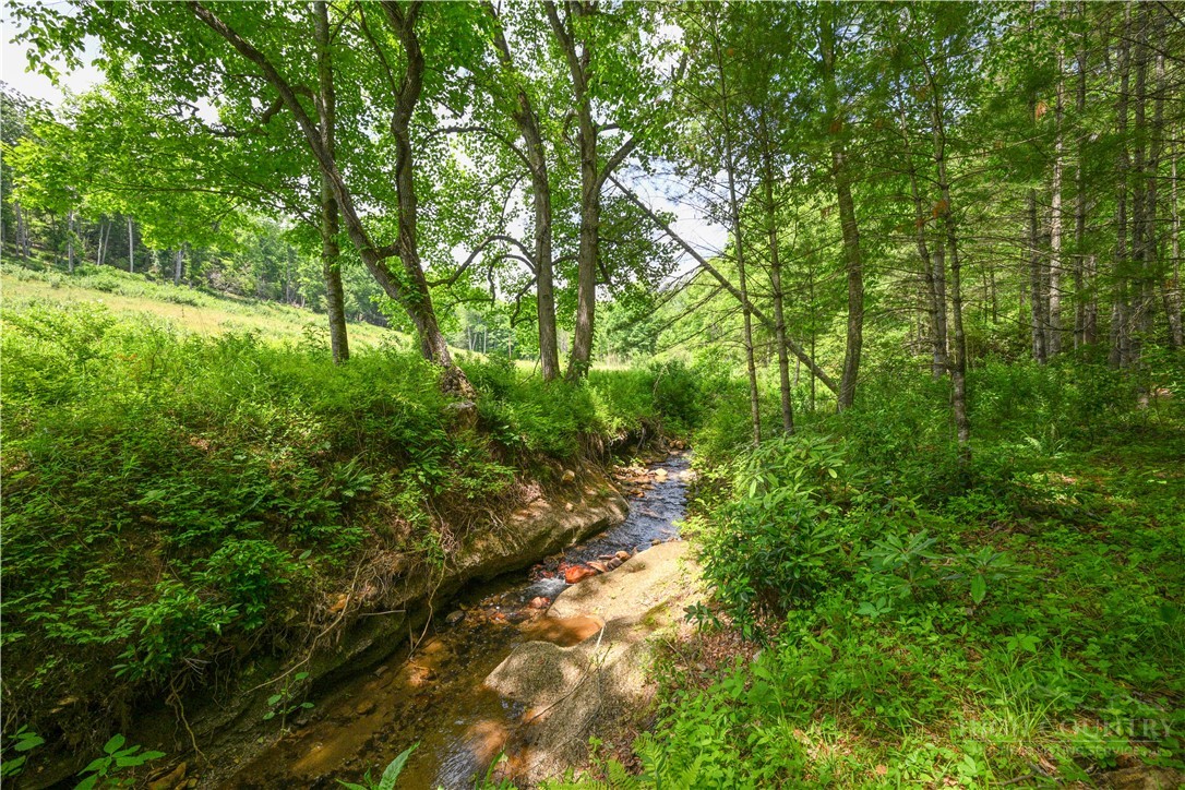 Lot 2 Gusher Knob Road Newland, NC 28657 - Photo 5 of 17