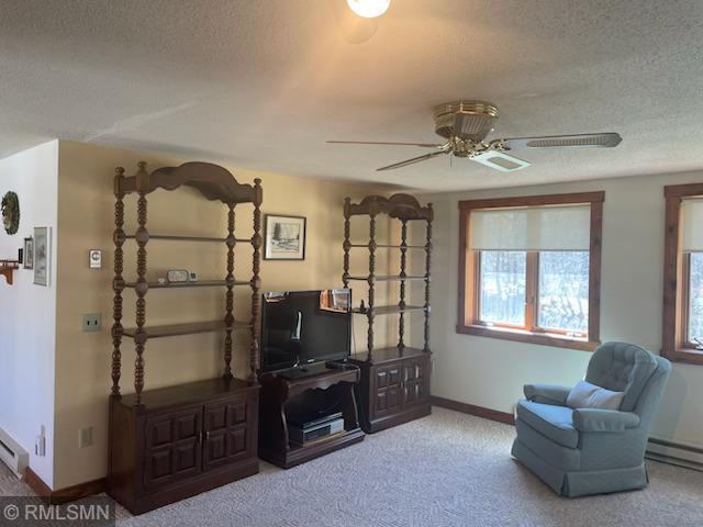 33119 Cedar Creek Road Hinckley, MN 55037 - Photo 9 of 29