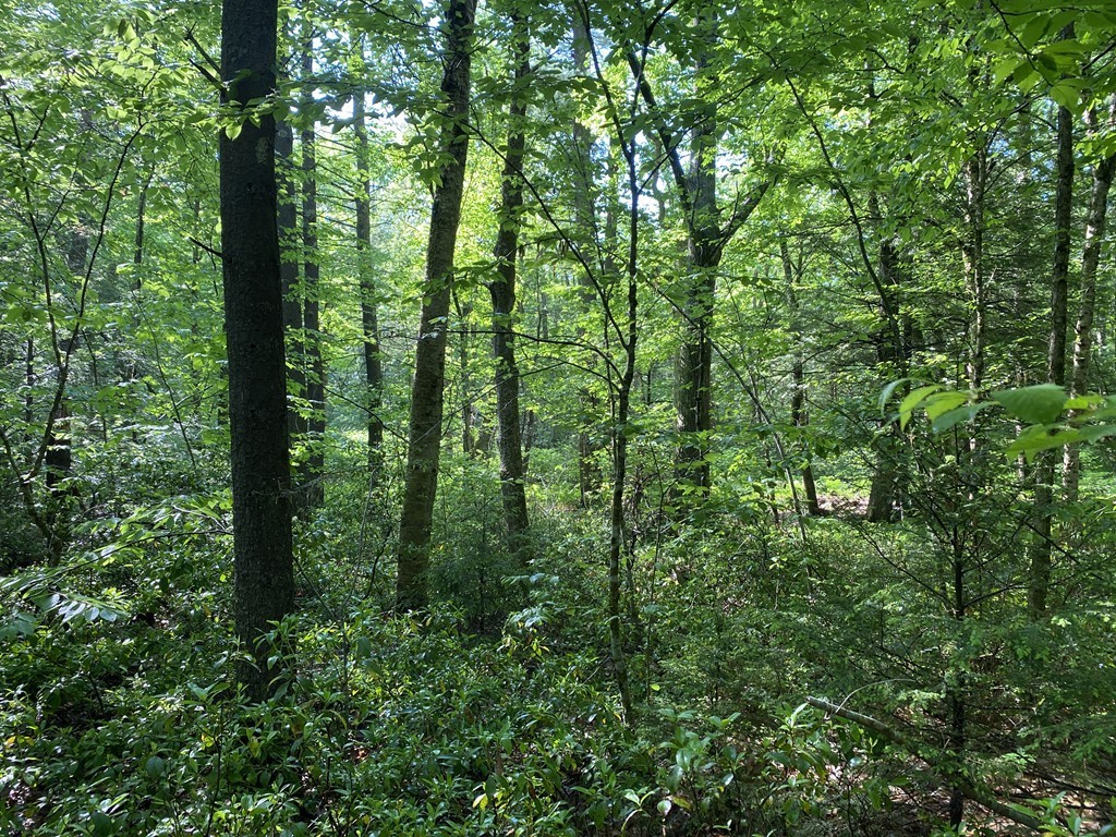 Lot 2 Emerald Road Rutland, MA 01543 - Photo 2 of 8