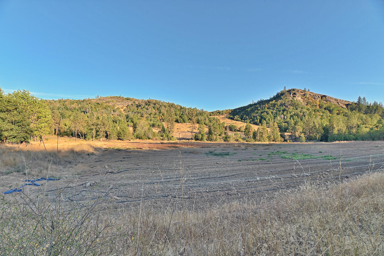 14738 Ramsey Road White City, OR 97503 - Photo 24 of 55 DSC_1398 copy