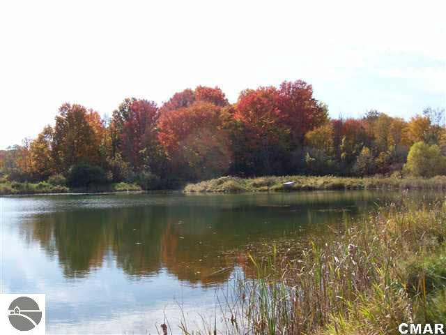 11950 North Meridian Road Farwell, MI 48622 - Photo 9 of 25 1774744-8.JPG