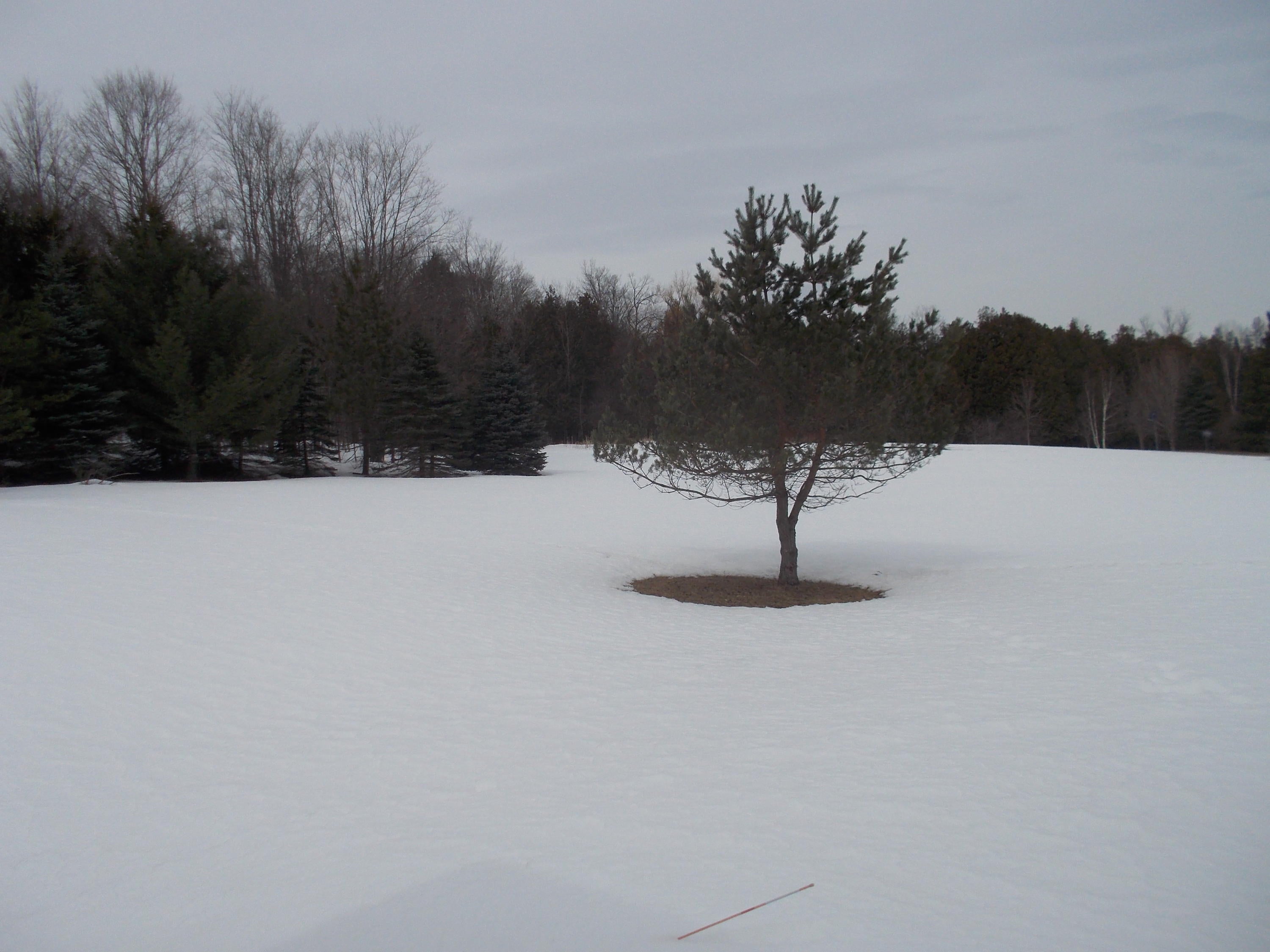 1010 Jackson Hill Road Gaylord, MI 49735 - Photo 41 of 49 Gallery Image 41