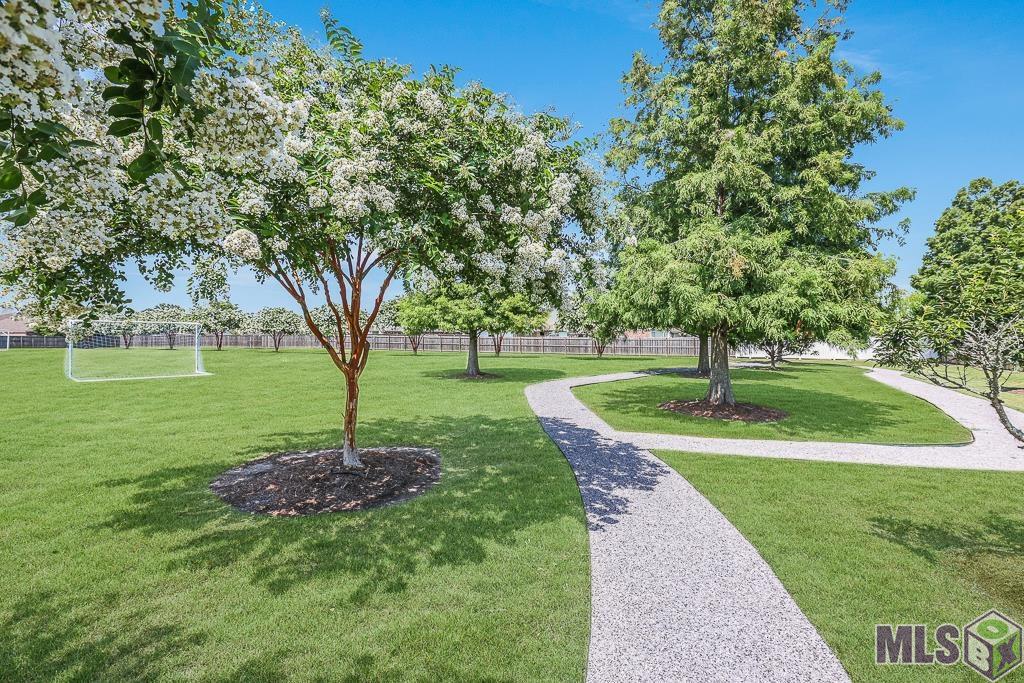 10455 Springdale Avenue Baton Rouge, LA 70810 - Photo 22 of 26 Gallery Image 22