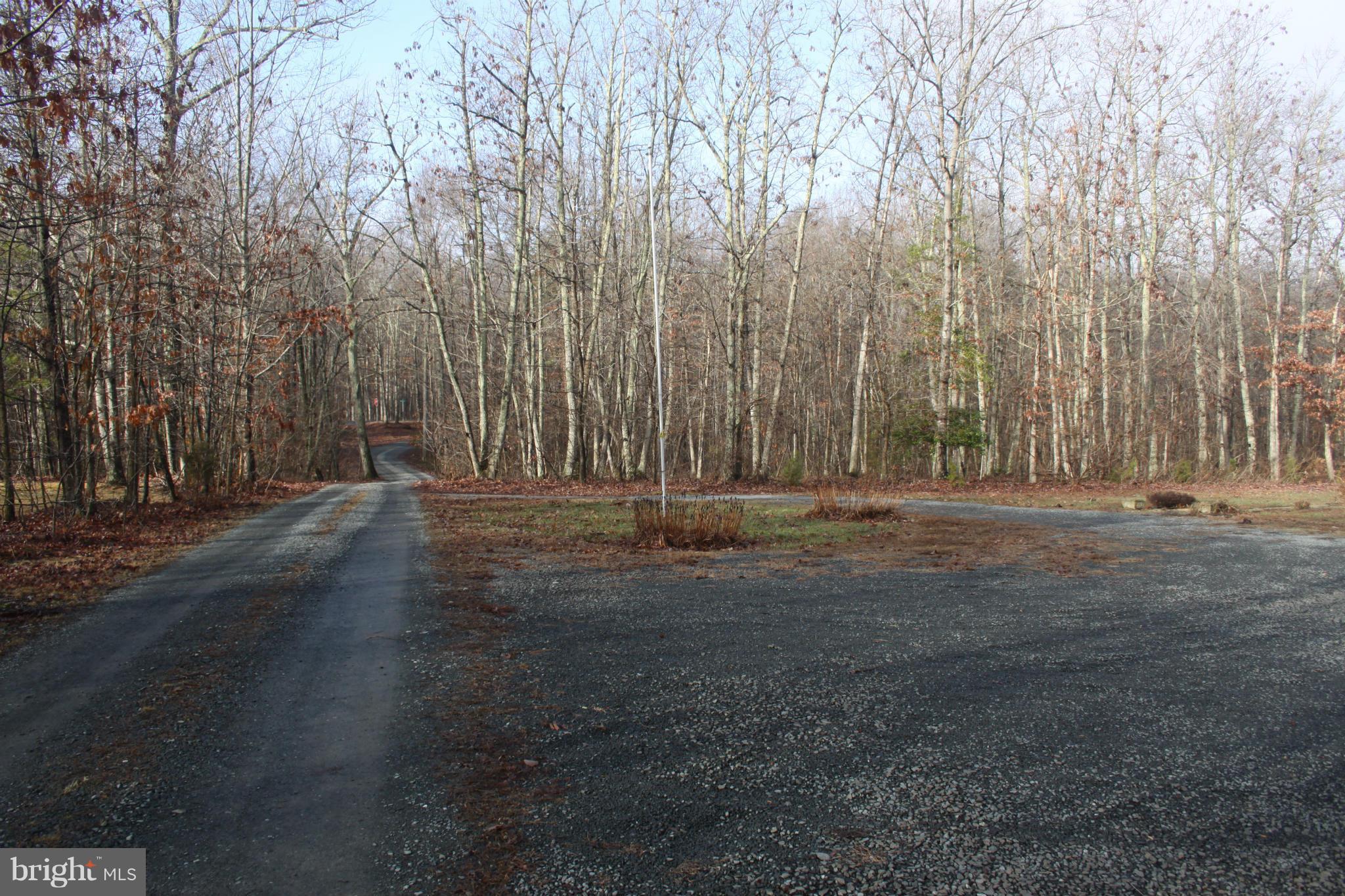 12615 Elk Run Road Midland, VA 22728 - Photo 11 of 30 Circular Driveway/View to Road