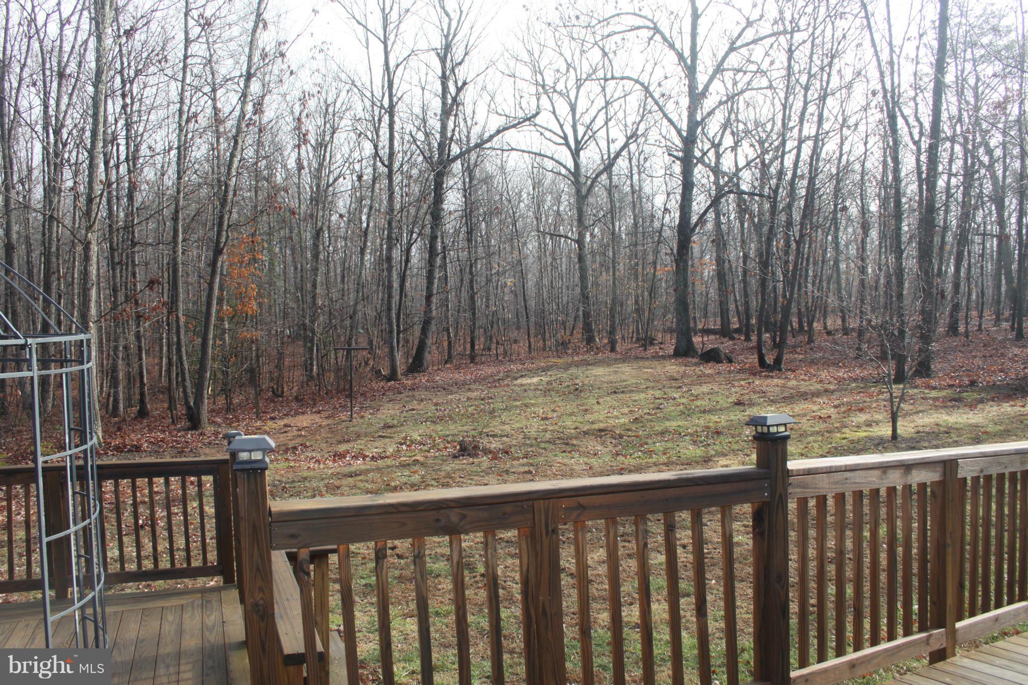 12615 Elk Run Road Midland, VA 22728 - Photo 13 of 30 Backyard