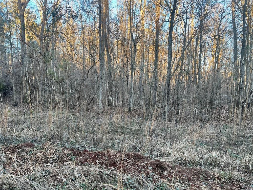 0 River Road Monticello, GA 31064 - Photo 2 of 3