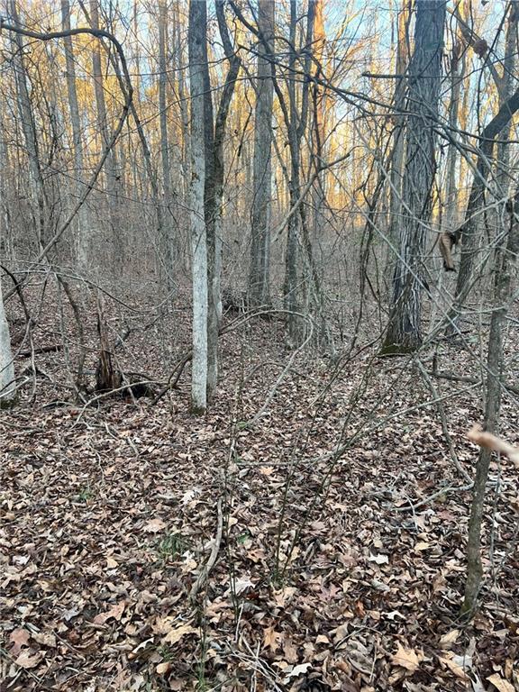 0 River Road Monticello, GA 31064 - Photo 3 of 3