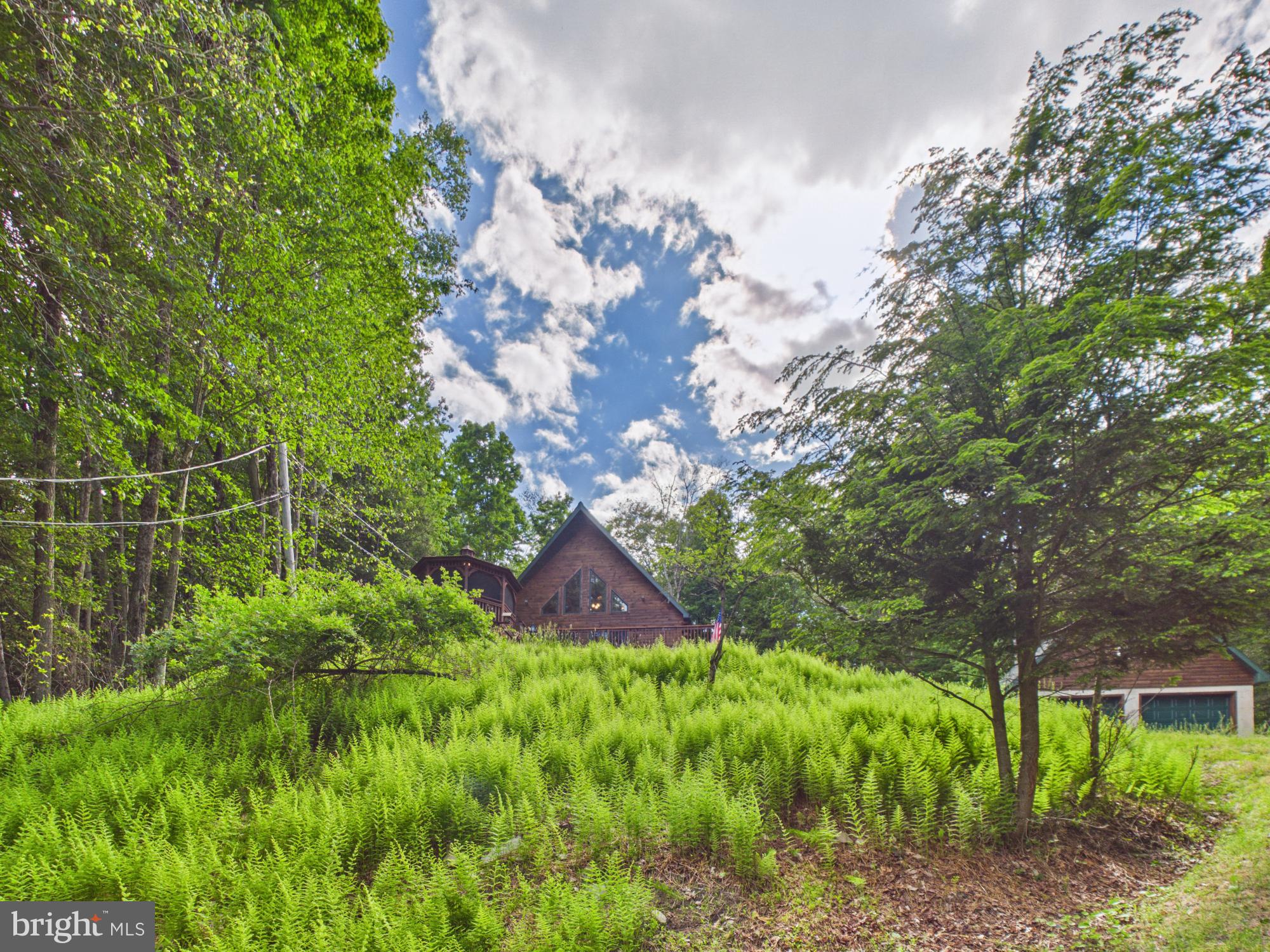 477 Finn Swamp Road Lakeville, PA 18438 - Photo 26 of 53 View from the driveway upon arrival