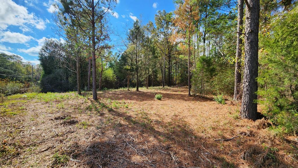 3-acres Lucy Grade Road Ashford, AL 36312 - Photo 8 of 18
