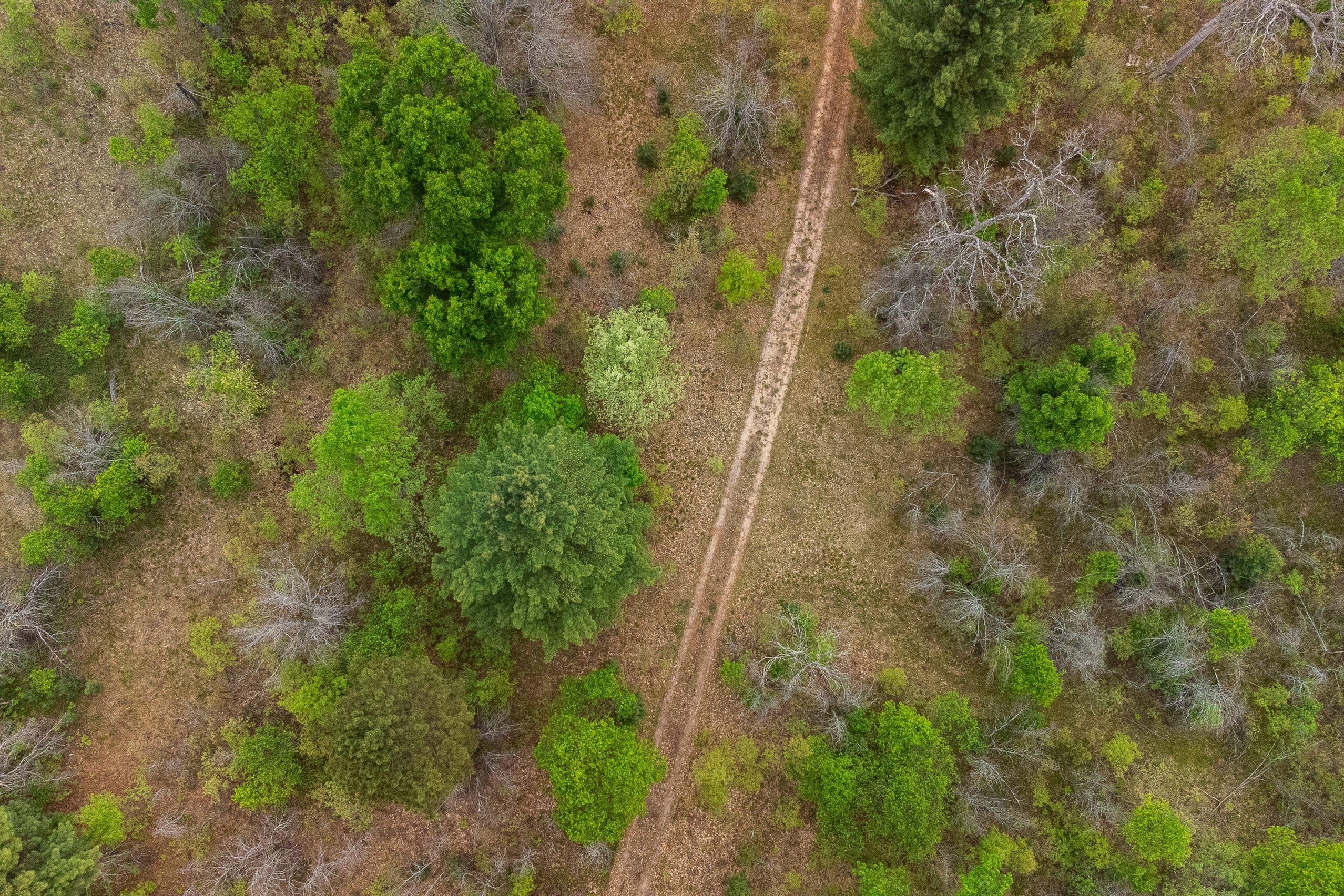 23048 Husier Road Wellston, MI 49689 - Photo 45 of 63 Warfield_update-48