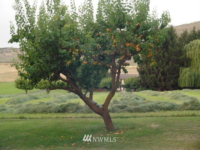 1860 Mellergaard Road Ellensburg, WA 98926 - Photo 20 of 23 Gallery Image 20