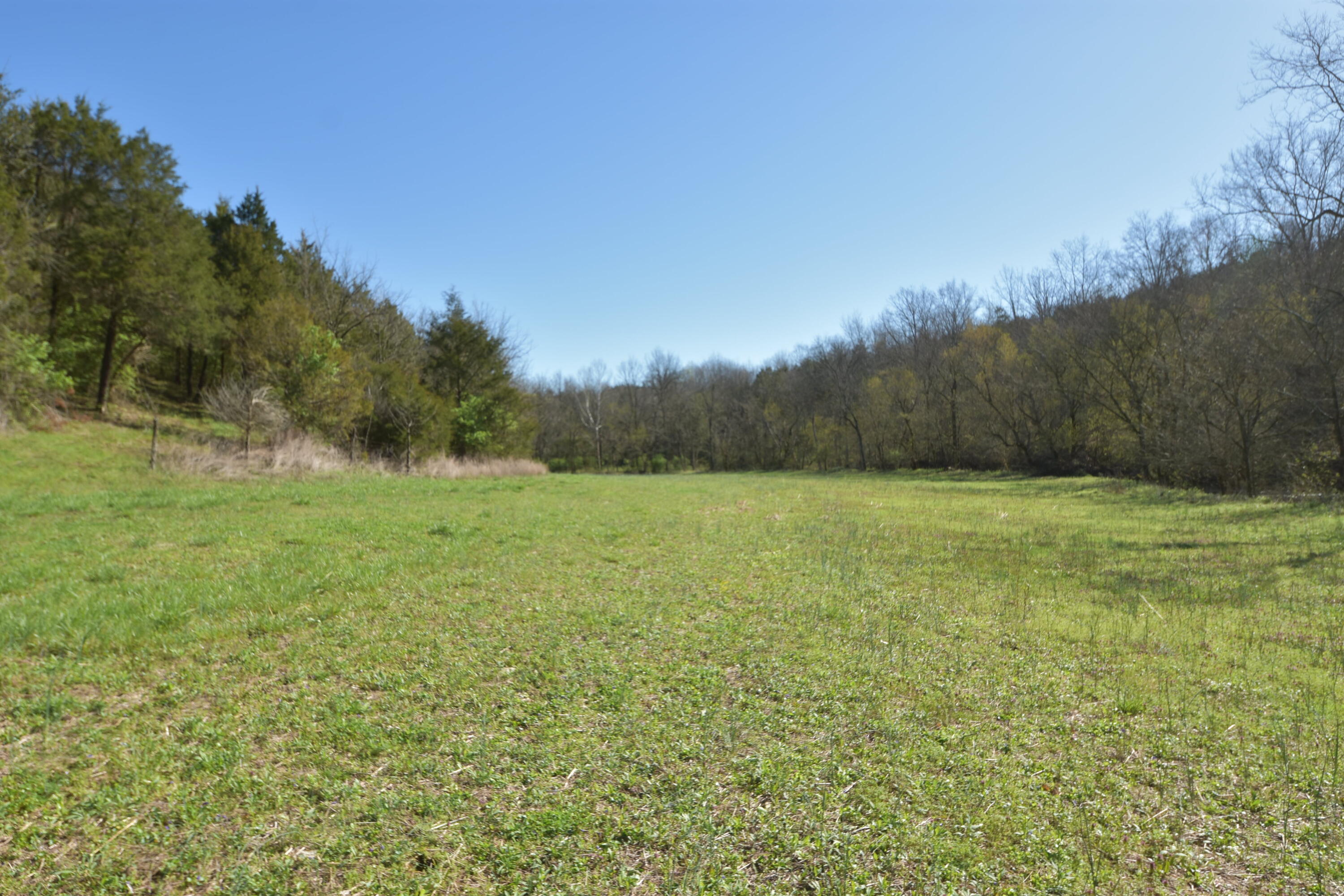 671 Fairview Road, Unit 3 Salvisa, KY 40372 - Photo 19 of 26 DSC_0311