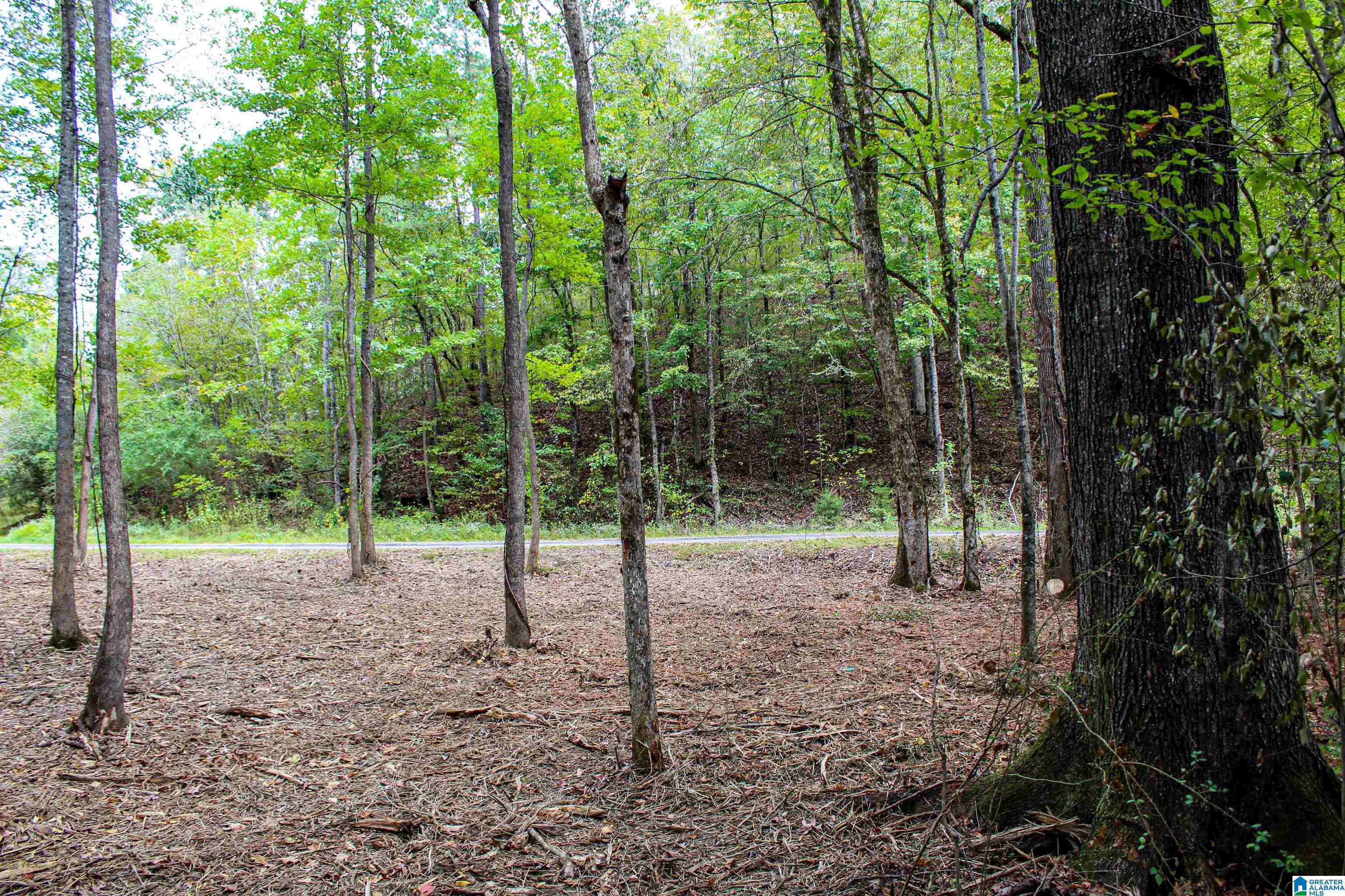 1 Highway 18, Unit 1 Oakman, AL 35579 - Photo 7 of 46
