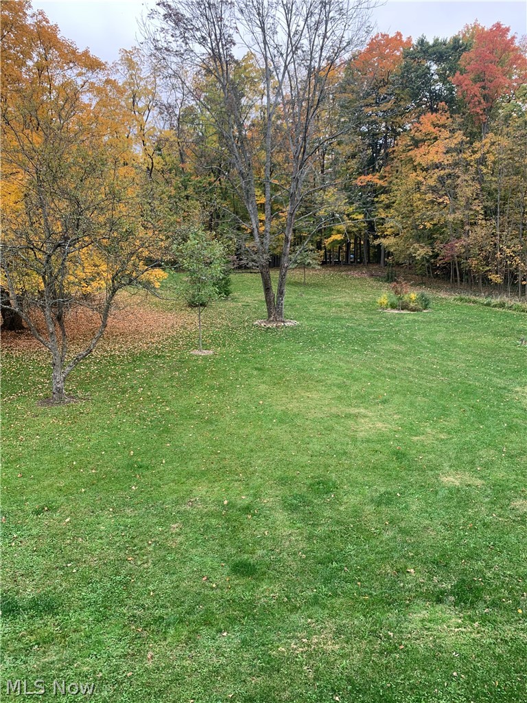 156 Bath Road Medina, OH 44256 - Photo 26 of 28 Plenty of room to play