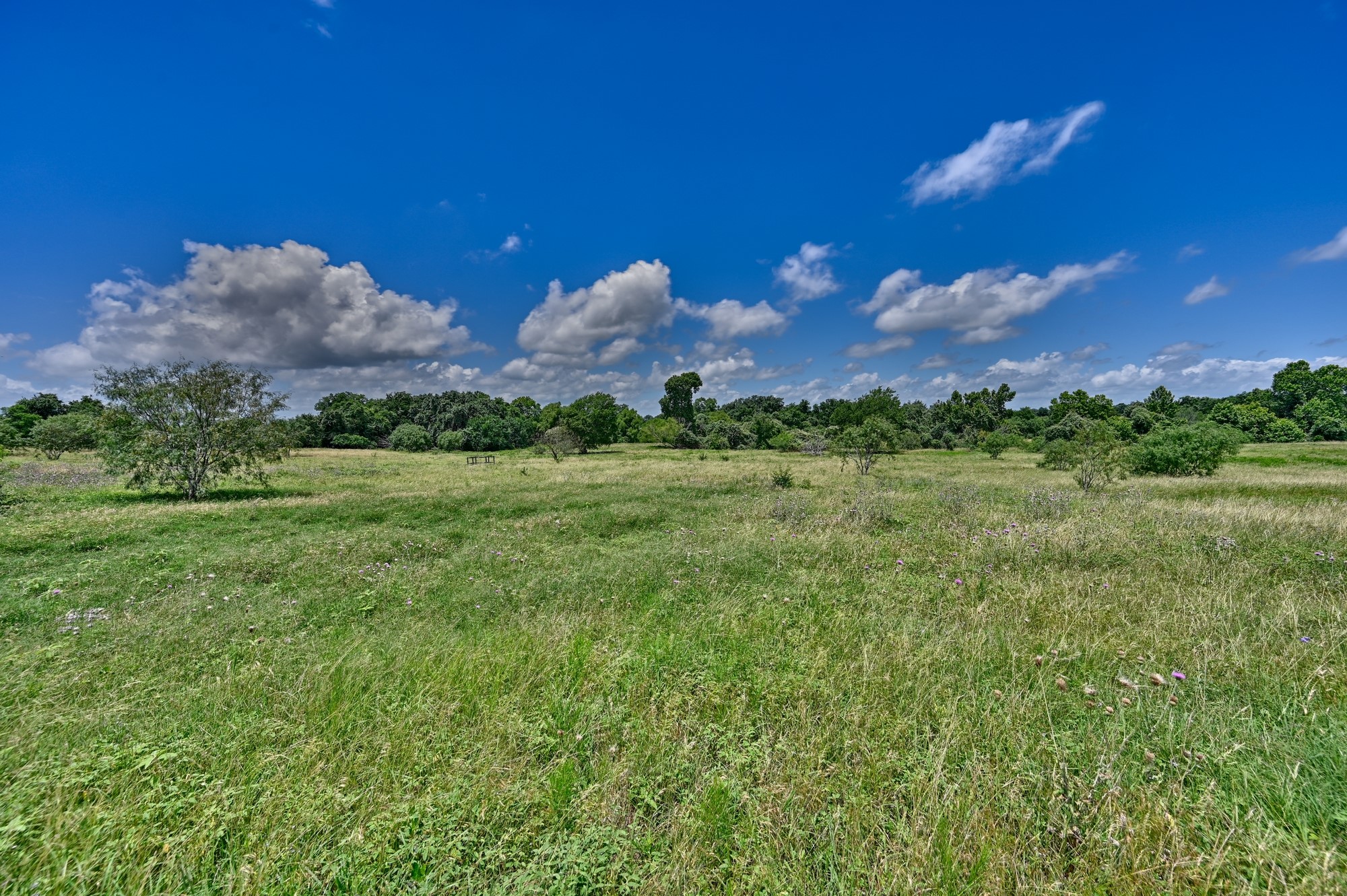 5208 Mensik Road Schulenburg, TX 78956 - Photo 18 of 18 a view of a big yard with a house in the background