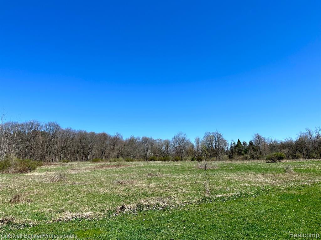 0 North Branch Road North Branch, MI 48461 - Photo 6 of 9 Gallery Image 6