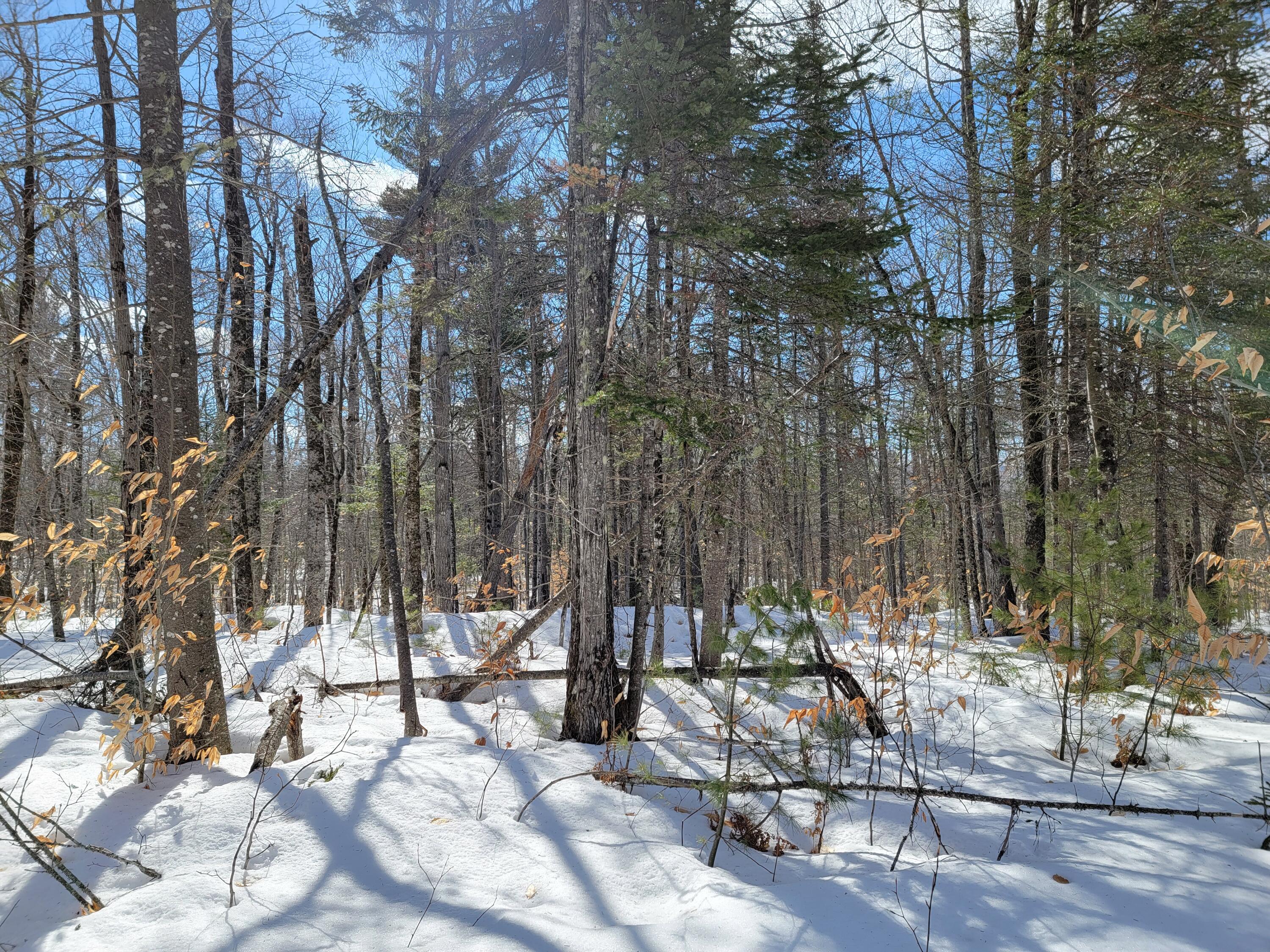 M3-l8a Roxbury Notch Road Roxbury, ME 04275 - Photo 20 of 37 Roxbury Notch Lot 8A