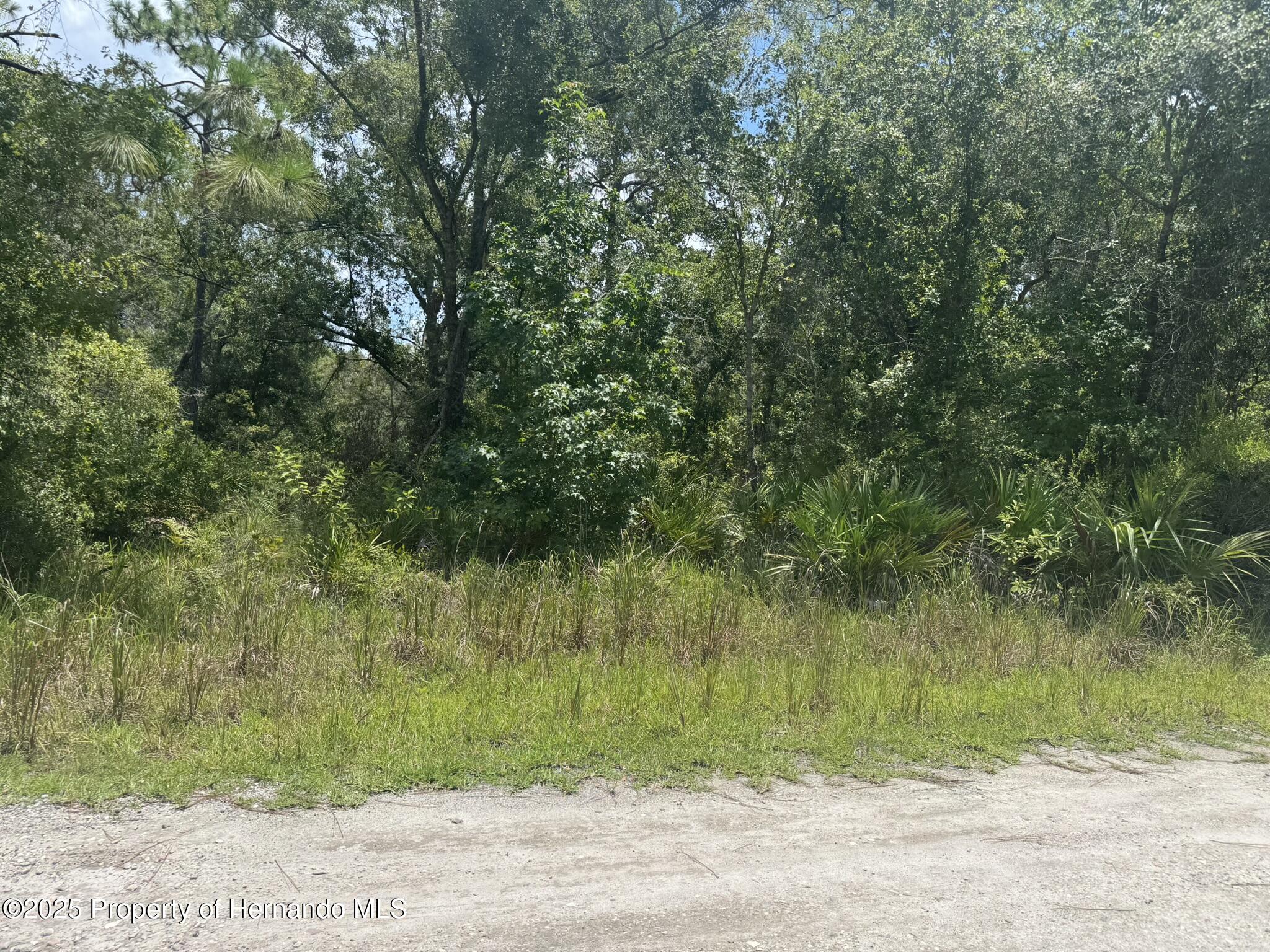 0 Lisle Street New Port Richey, FL 34654 - Photo 1 of 7