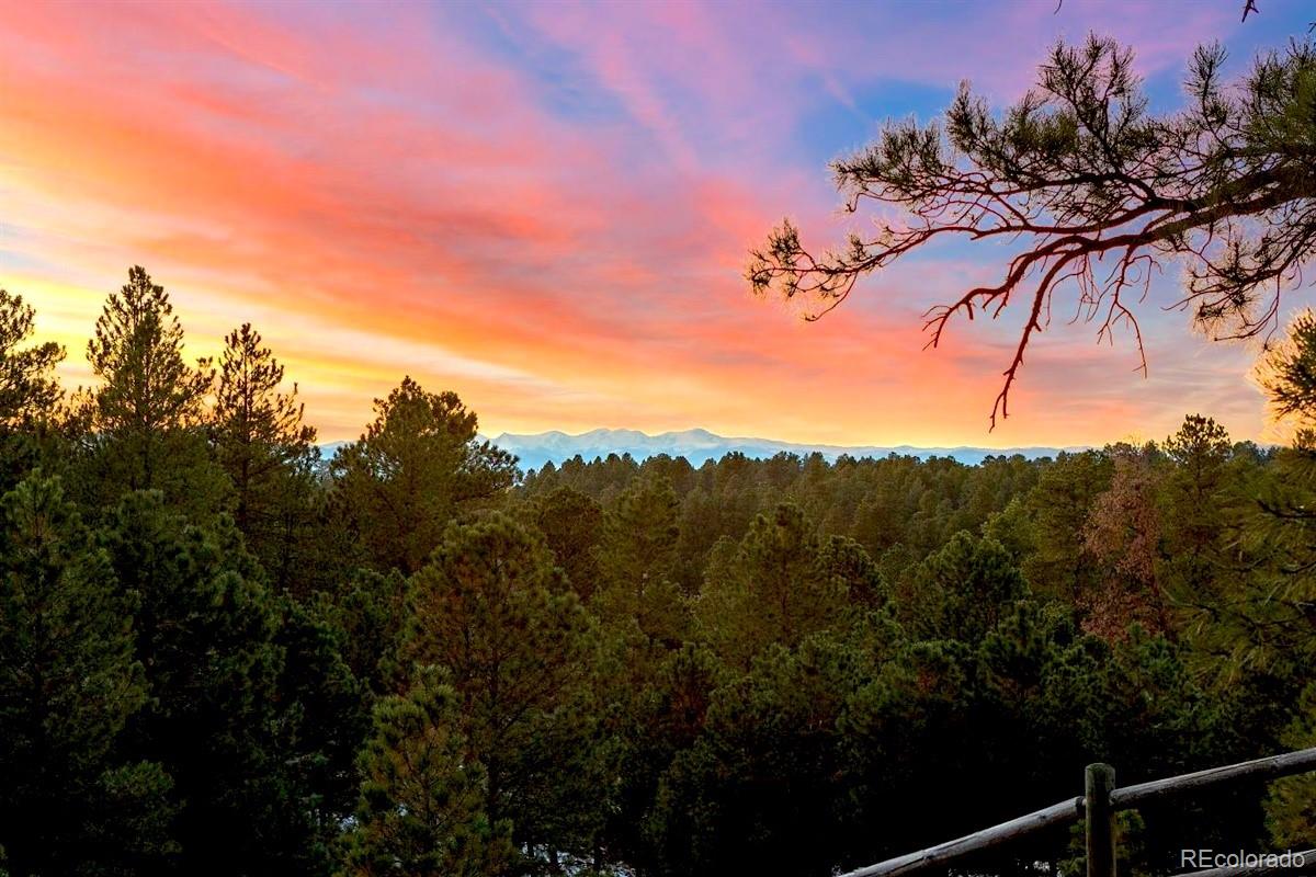 10857 Evans Ridge Road Parker, CO 80134 - Photo 4 of 35