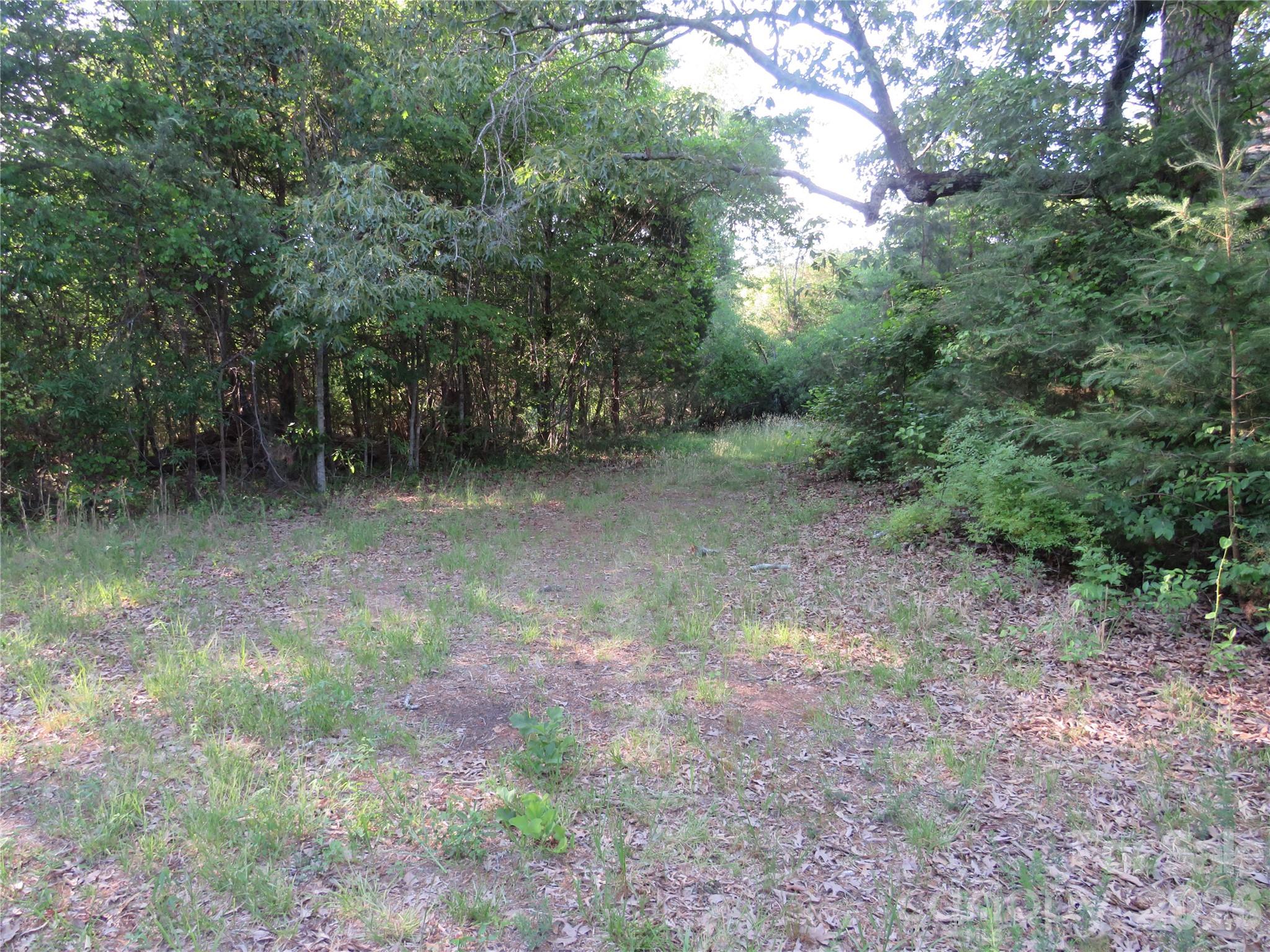 262 Flat Rock Road Forest City, NC 28043 - Photo 40 of 41