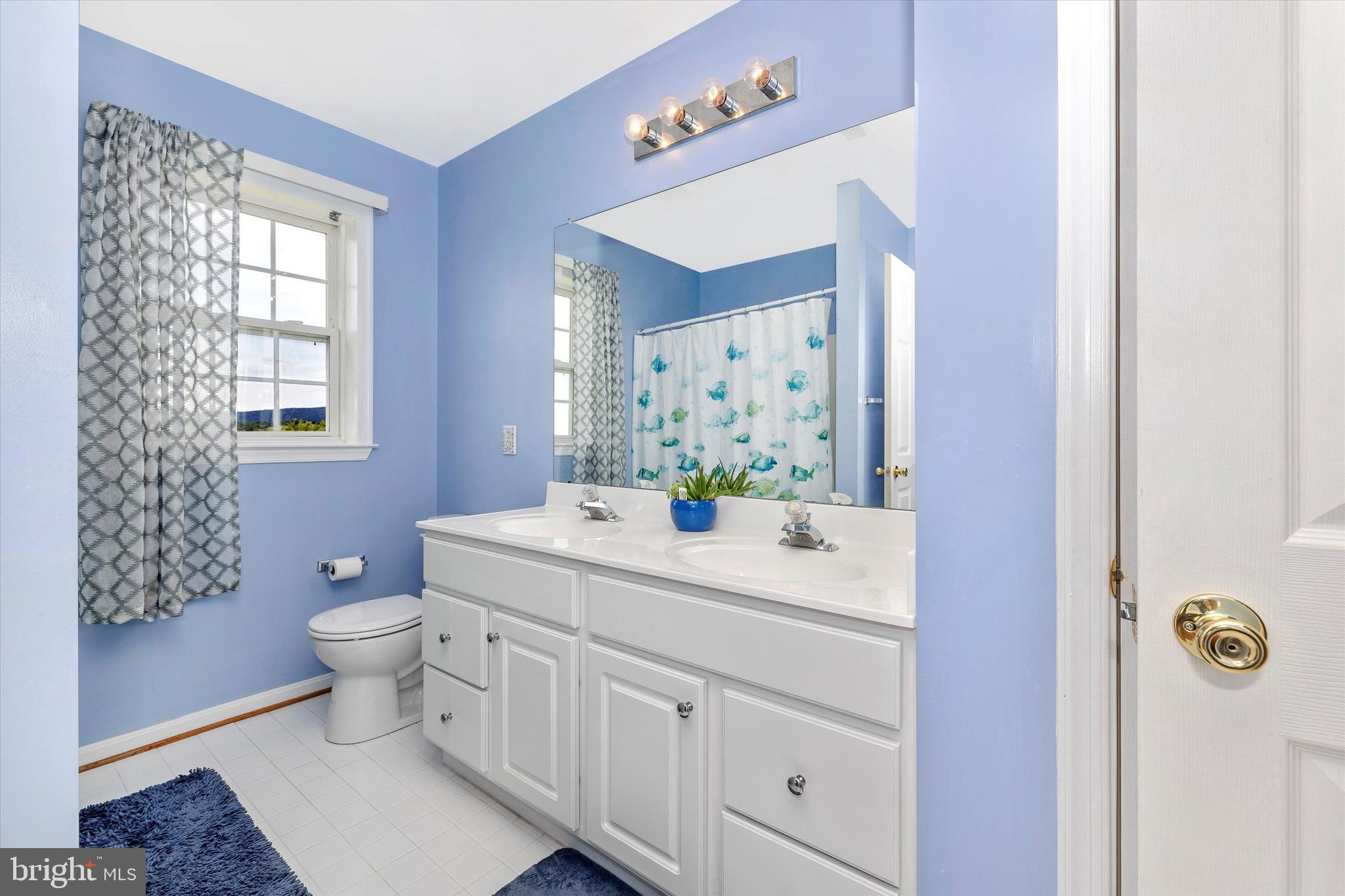 13384 Moser Road Thurmont, MD 21788 - Photo 39 of 93 Bathroom 2