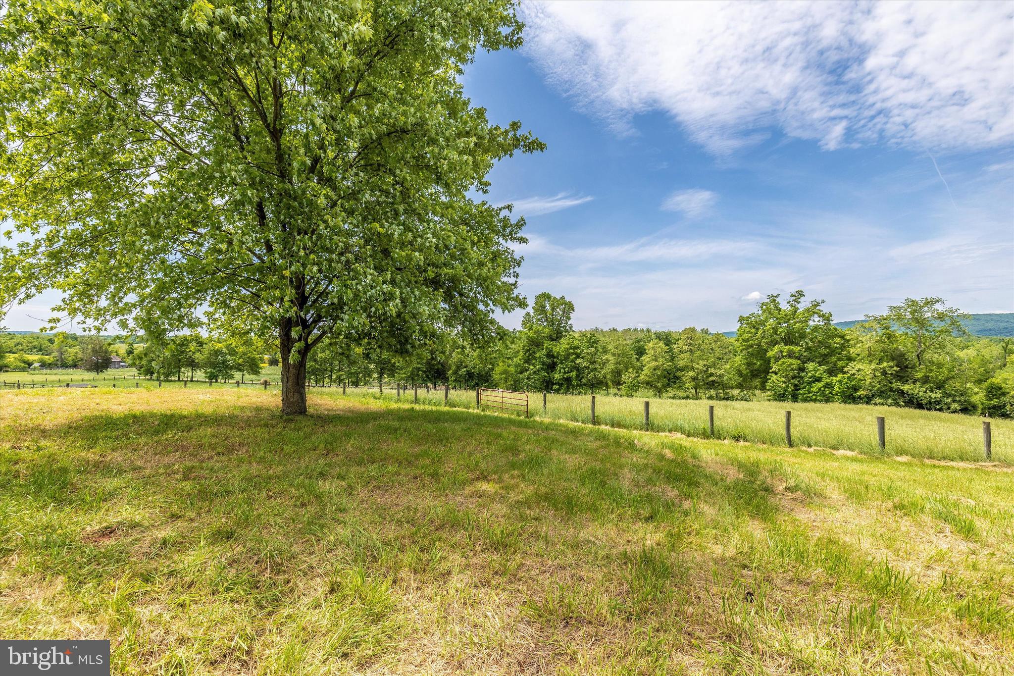 13384 Moser Road Thurmont, MD 21788 - Photo 87 of 93 Yard/view