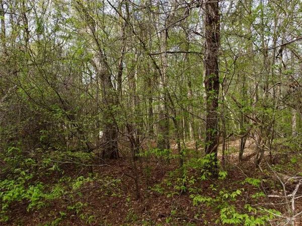 $60,000 | 100 River Shoals Court, Covington, GA 30016