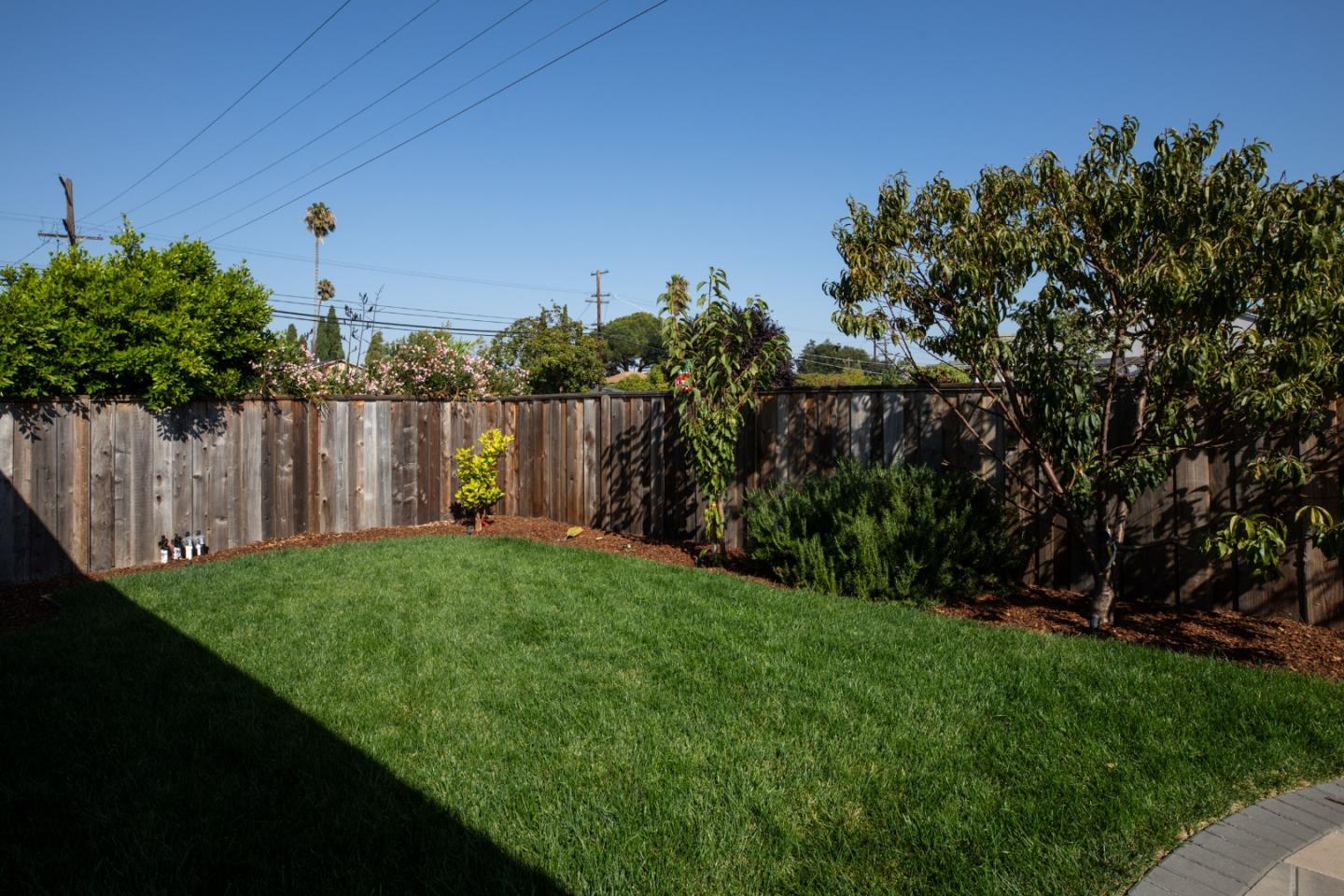 3432 Bay Road Redwood City, CA 94063 - Photo 23 of 33 a view of a backyard with large trees