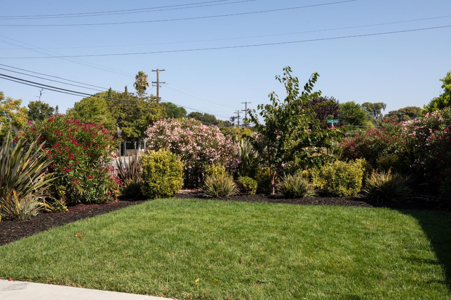 3432 Bay Road Redwood City, CA 94063 - Photo 30 of 33 a view of a yard