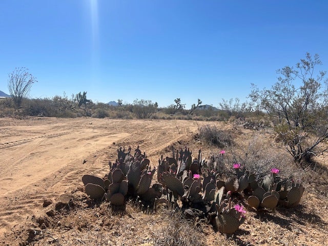 244-08-259 Apache Road Yucca, AZ 86438 - Photo 15 of 21 Gallery Image 15