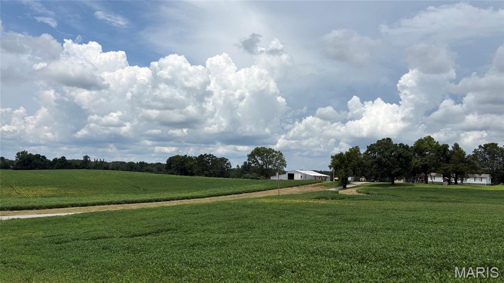 920 South Poplar Camp Road Makanda, IL 62958 - Photo 51 of 53