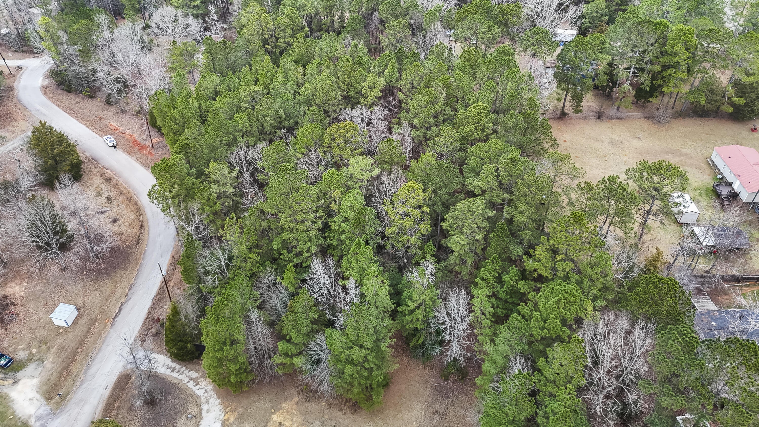 0 Twin Ponds Road Newberry, SC 29108 - Photo 3 of 19