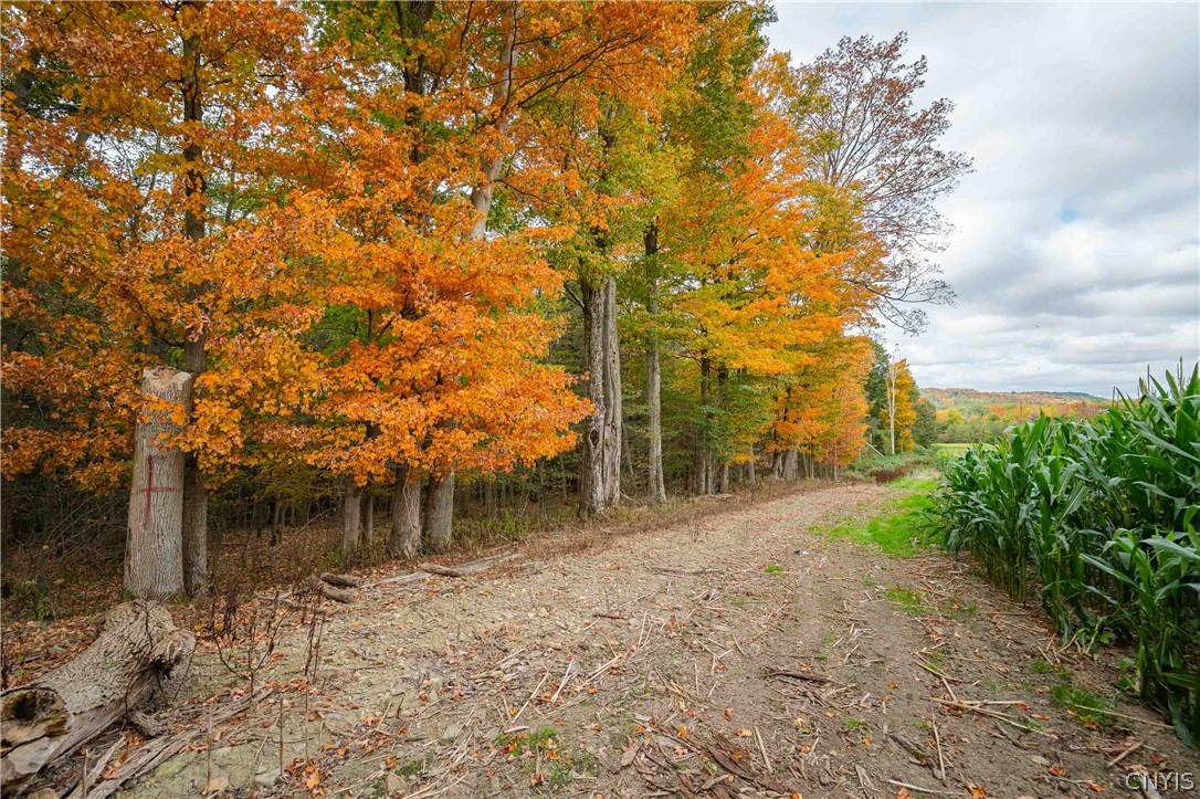5785 Hayes Road Bath, NY 14810 - Photo 47 of 50