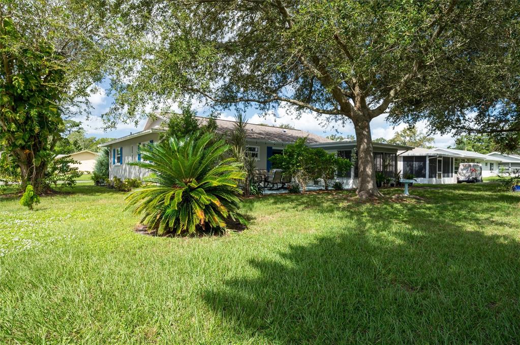 1472 Queen Anne Drive Palm Harbor, FL 34684 - Photo 25 of 34 a view of house with backyard